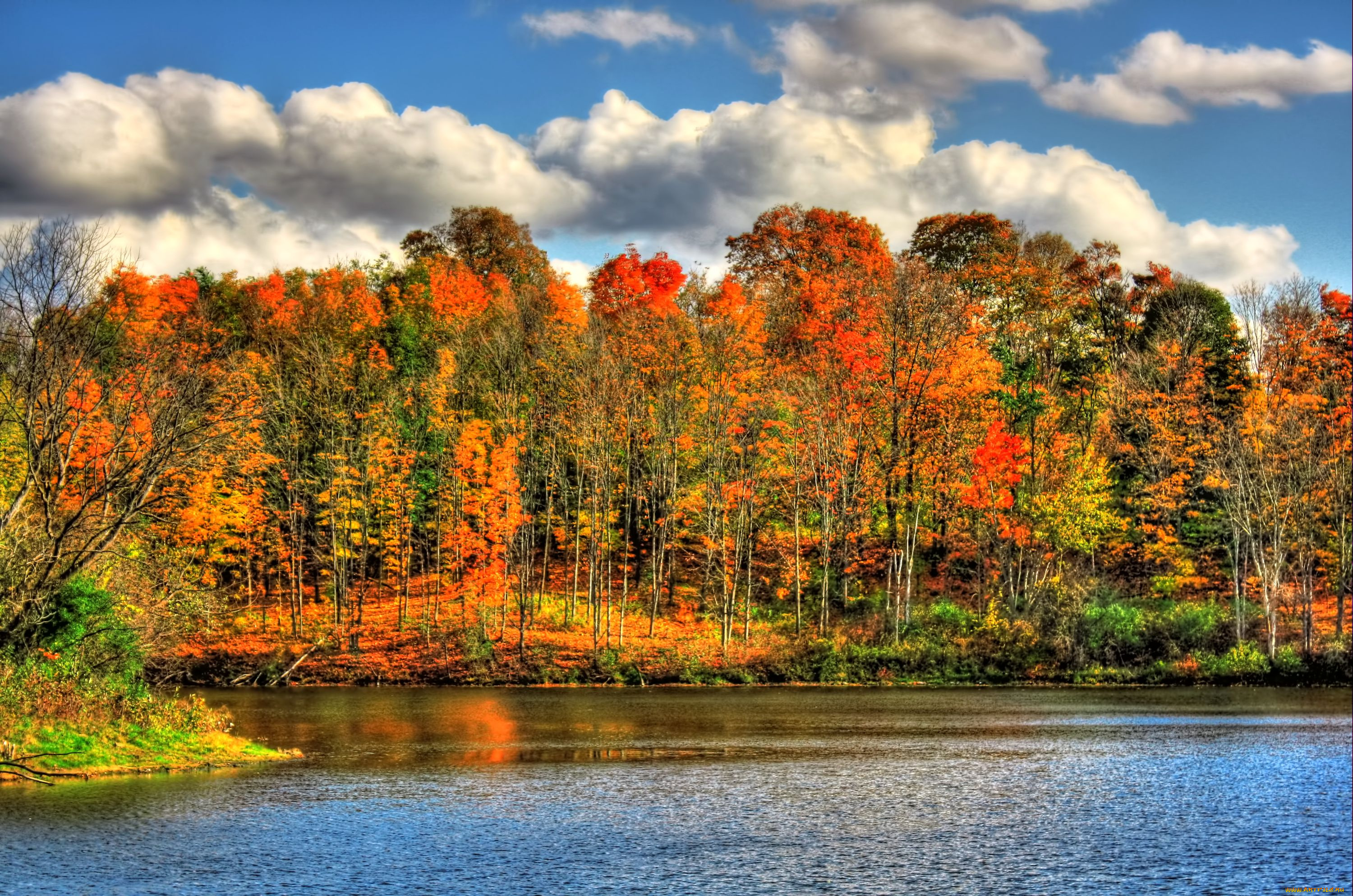 Осенний пейзаж. Природа осень. Природа осенью. Красота осени. Краски осени.