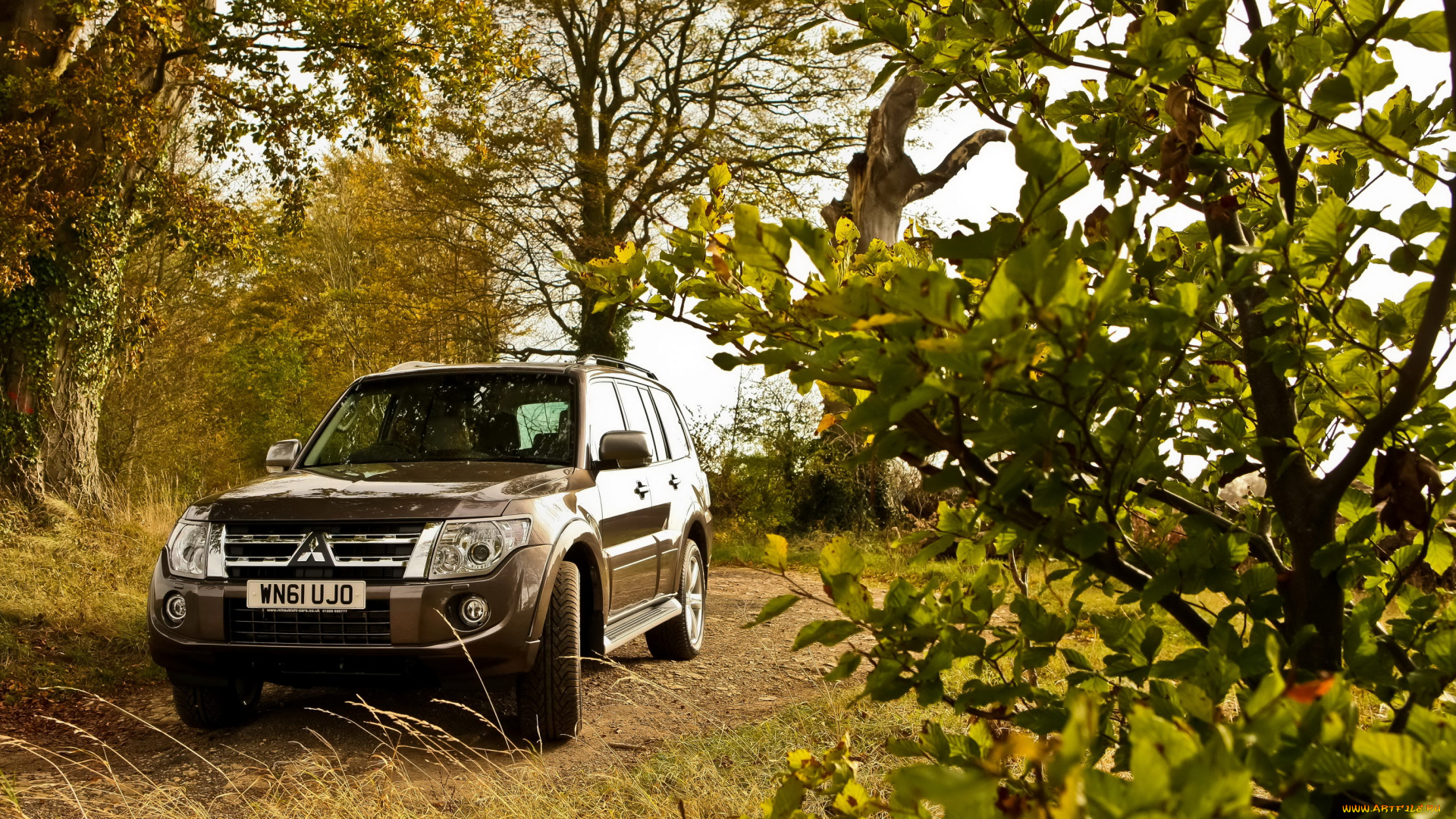 2012, mitsubishi, shogun, автомобили, лес