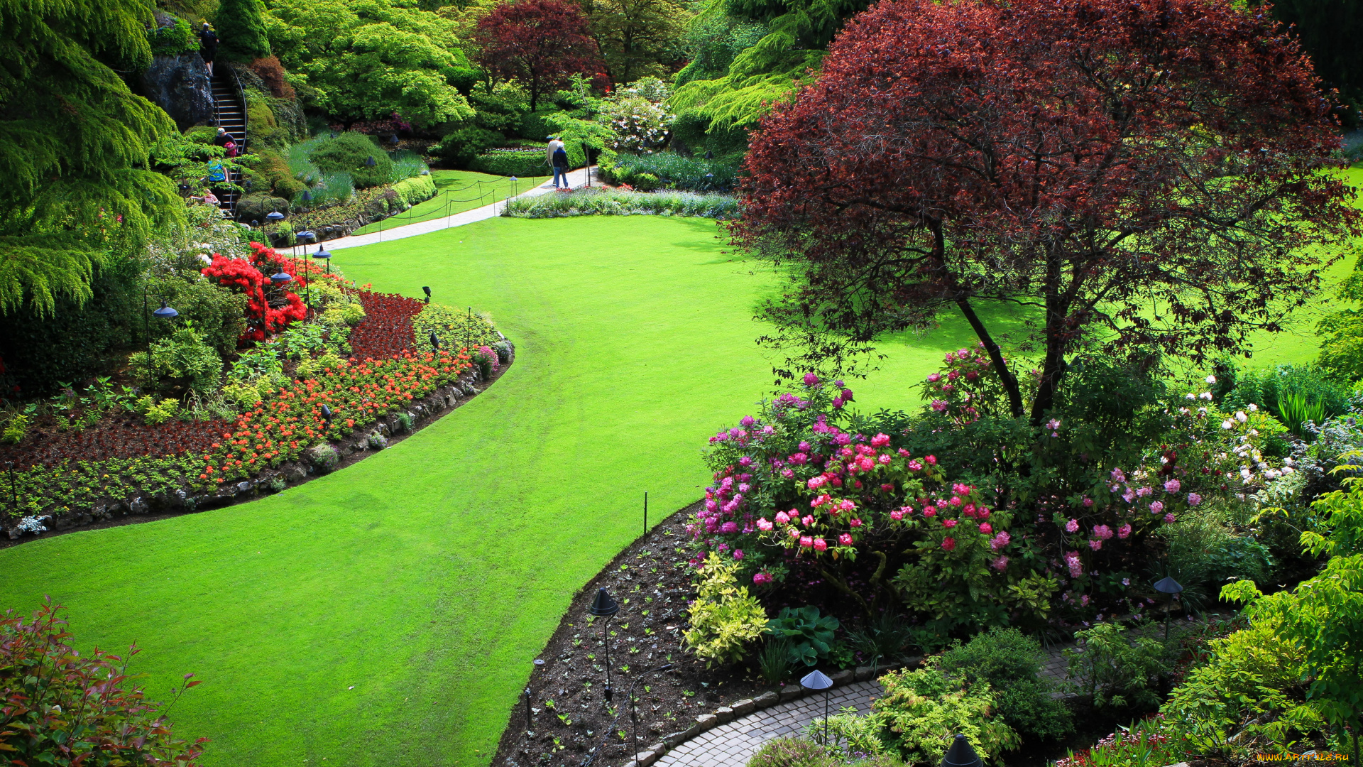 butchart, gardens, canada, природа, парк, клумбы, деревья, кусты, дорожки, цветы