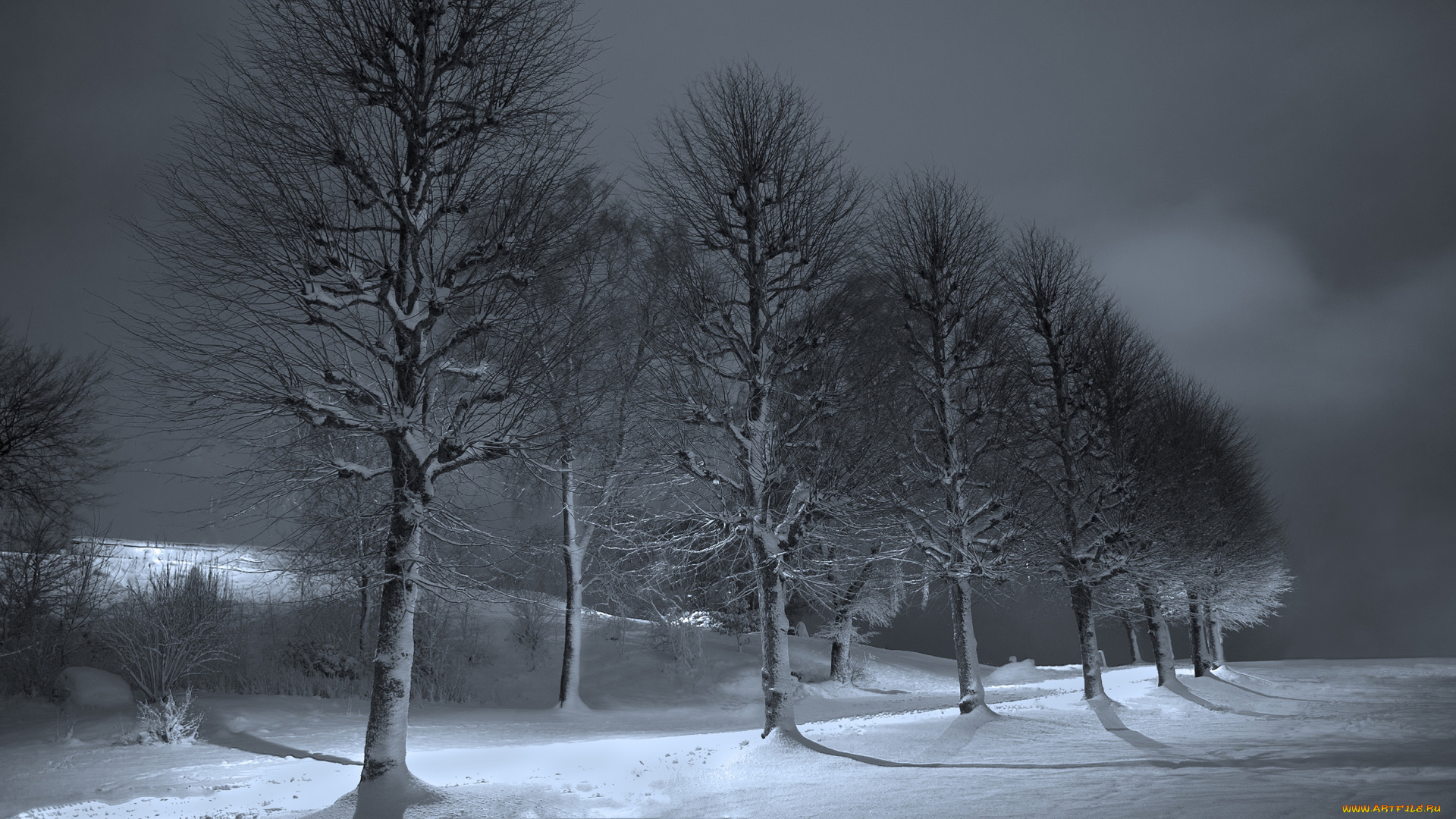 природа, зима, деревья, тень