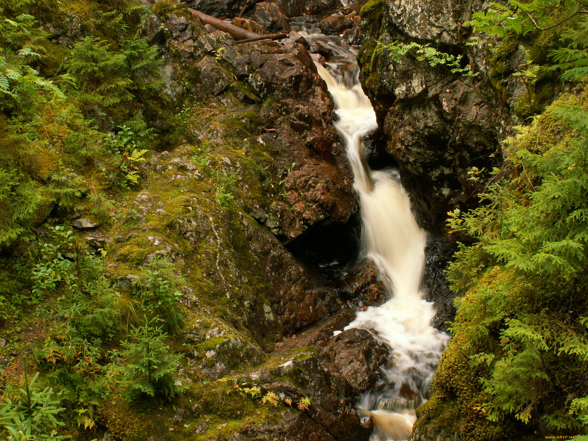 dalarna, швеция, природа, водопады, лес, водопад
