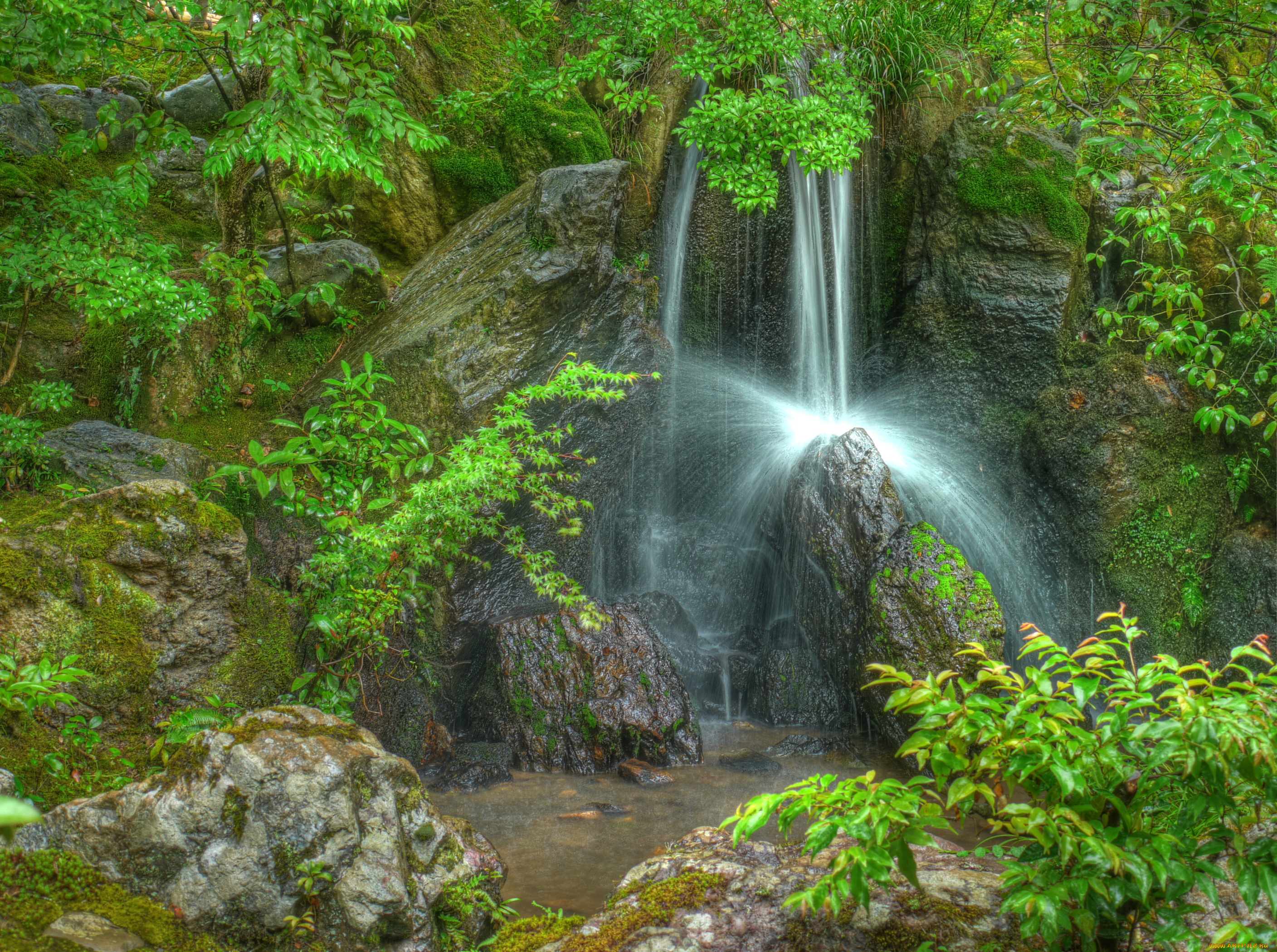 kyoto, ginkaku, garden, Япония, природа, водопады, парк, водопад