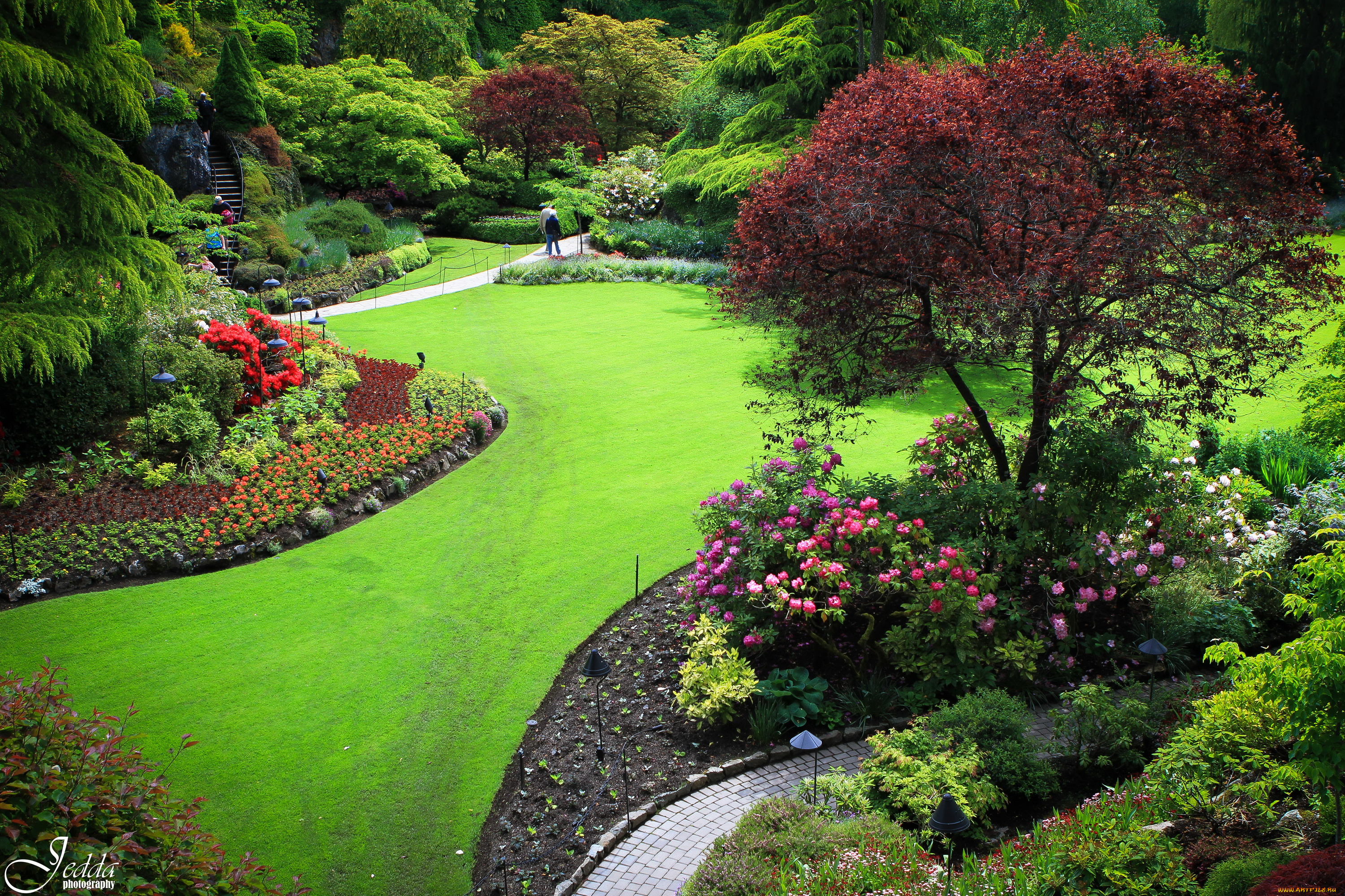 butchart, gardens, canada, природа, парк, клумбы, деревья, кусты, дорожки, цветы