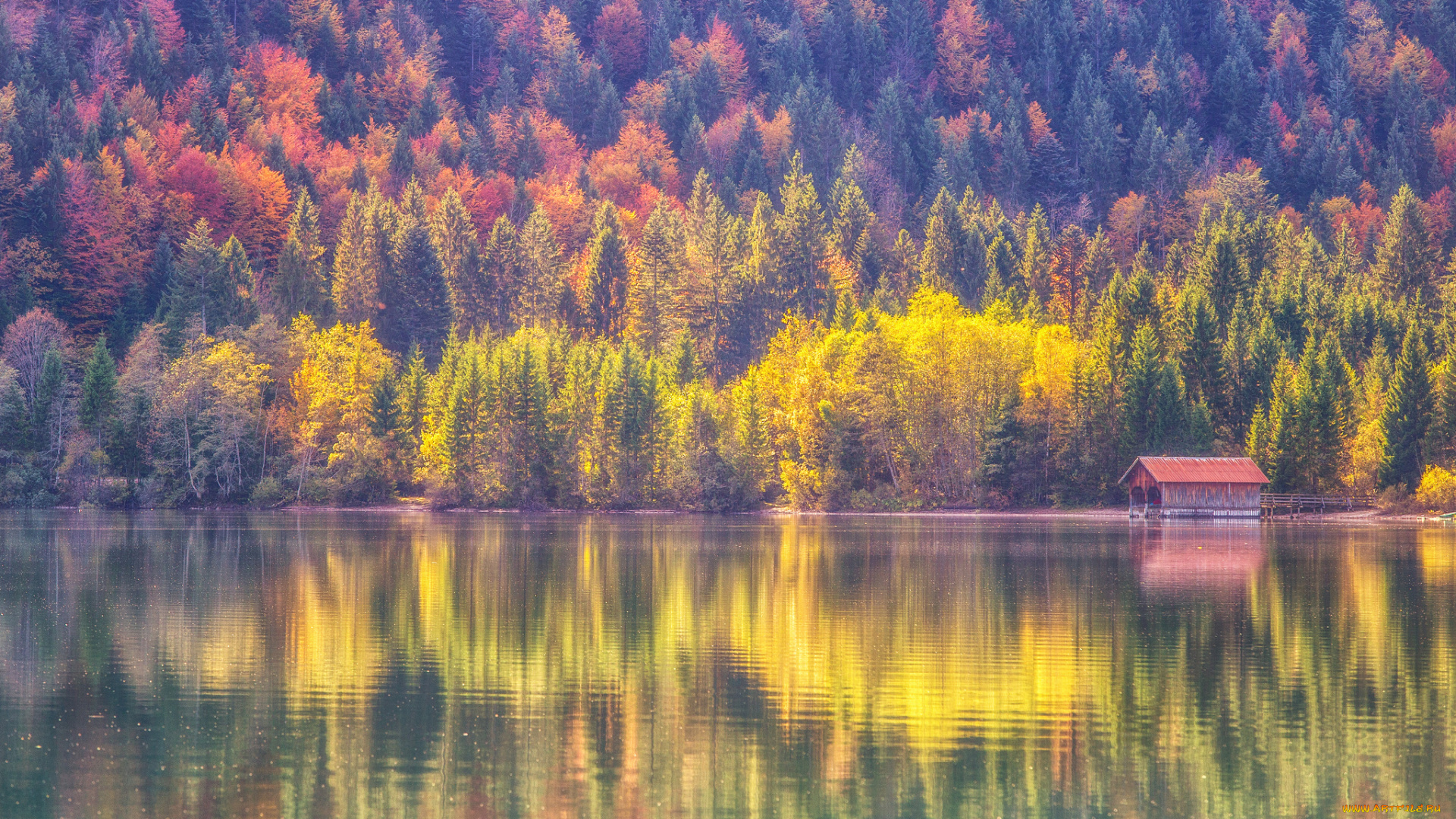 природа, реки, озера, отражение, озеро, лес, осень