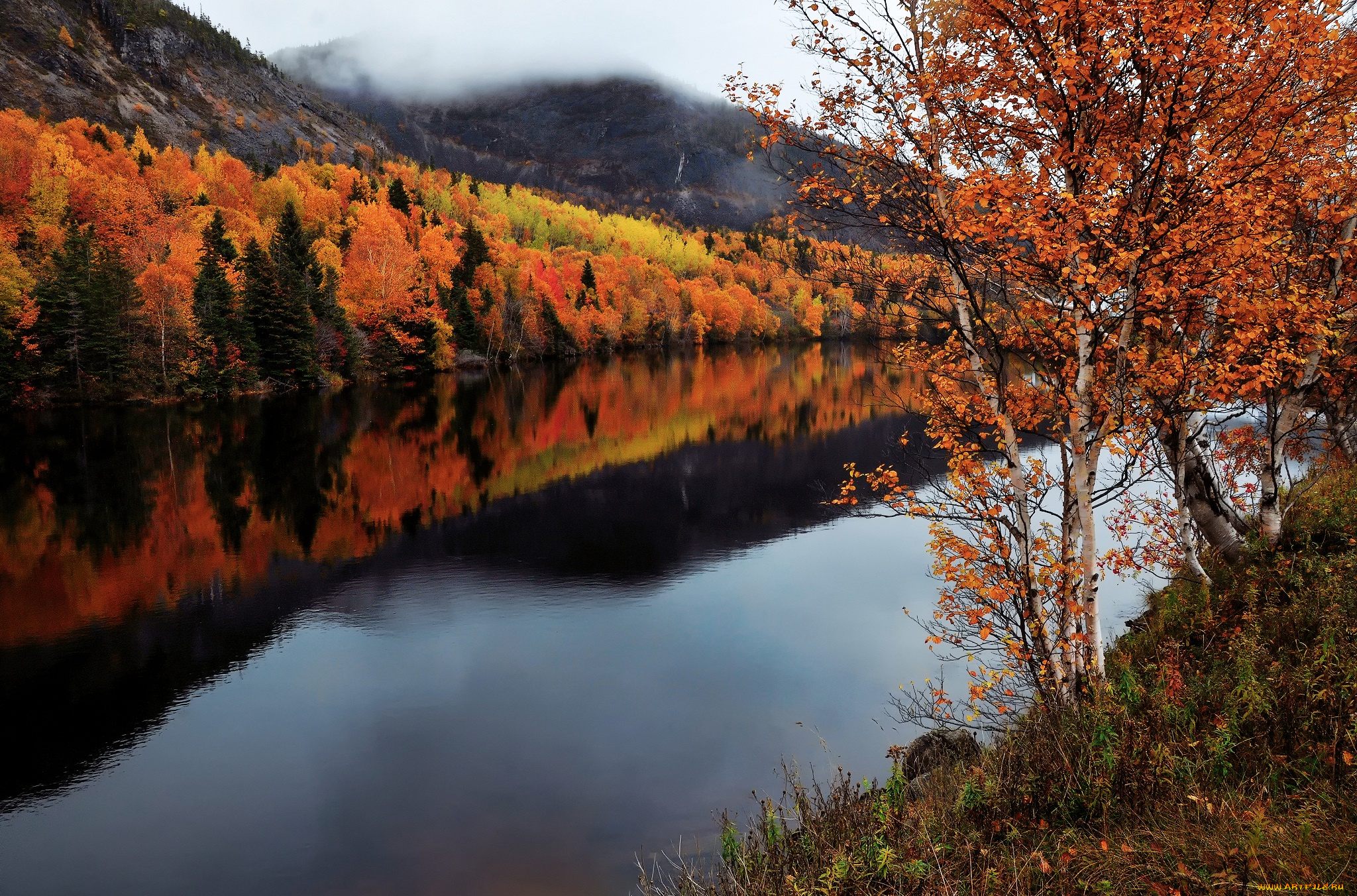природа, реки, озера, канада, провинция, ньюфаундленд, и, лабрадор, осень, река, humber, river
