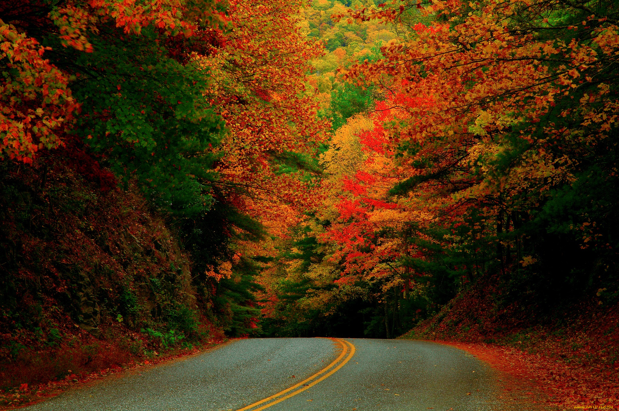 природа, дороги, сша, краски, лес, октябрь, дорога, осень, северная, каролина