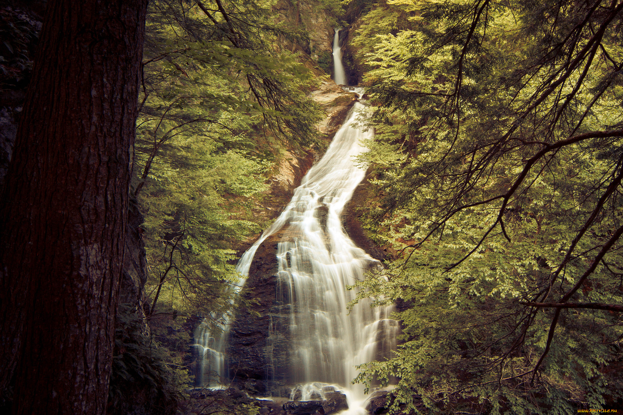 природа, водопады, деревья, скала, водопад