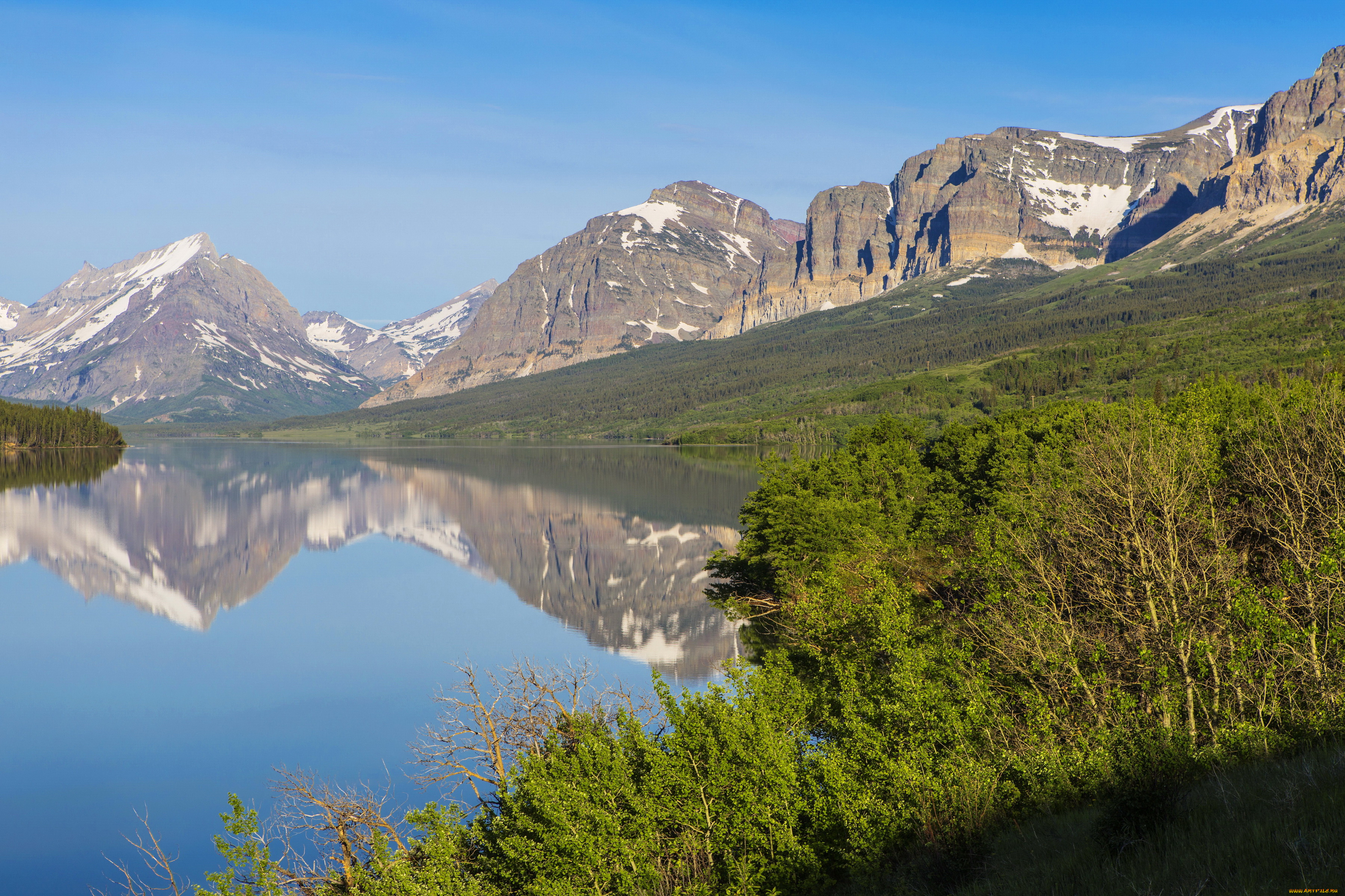 glacier, national, park, , montana, , сша, природа, реки, озера, glacier, трава, река, лес, сша, montana, national, park