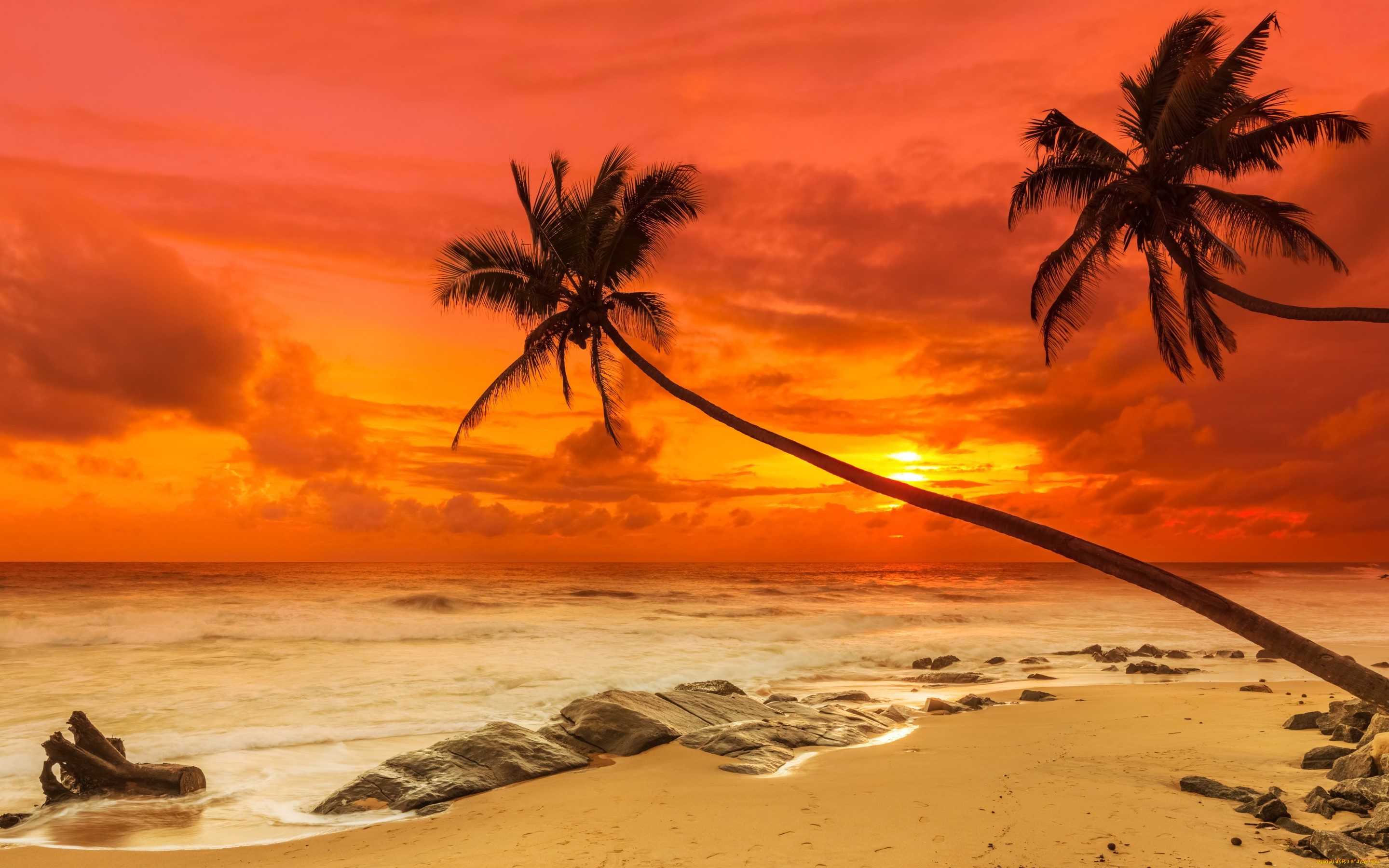 природа, тропики, paradise, shore, sea, sunset, beach, sand, tropical, пальмы, закат, песок, берег, пляж, море