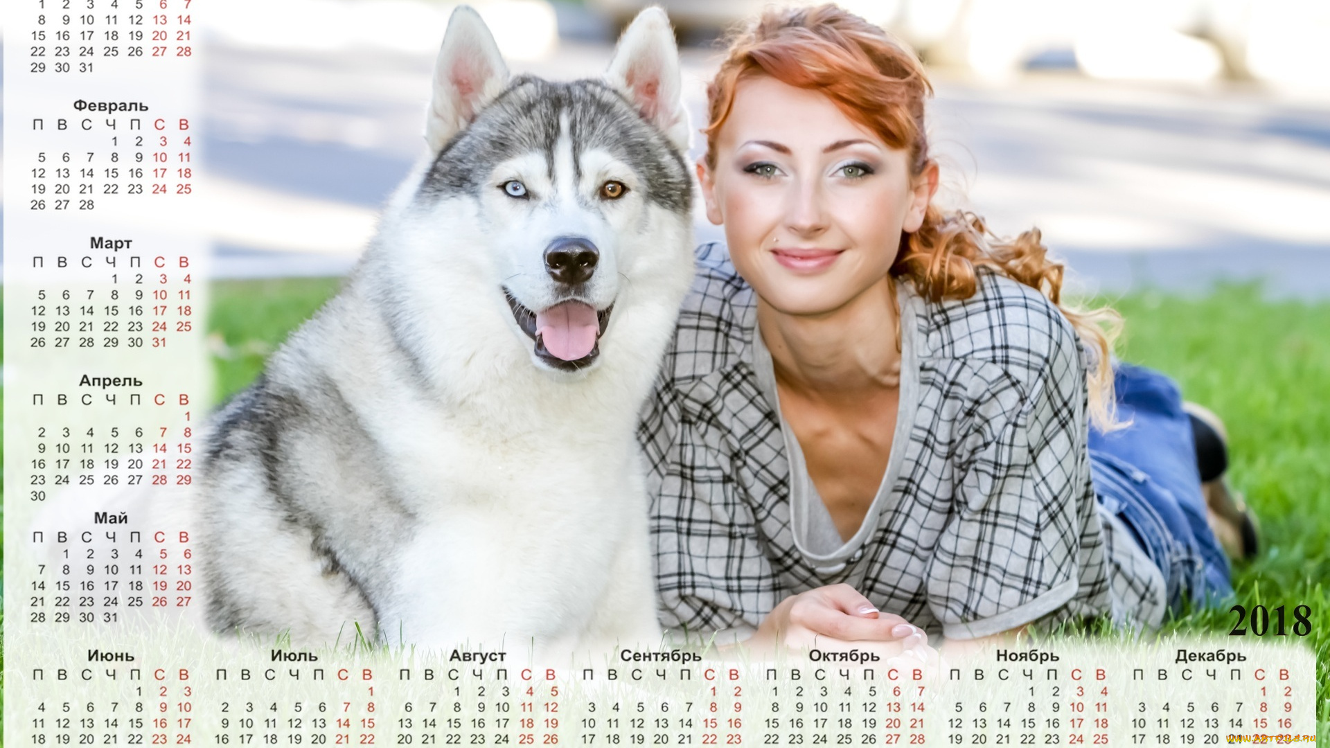 календари, девушки, собака, девушка