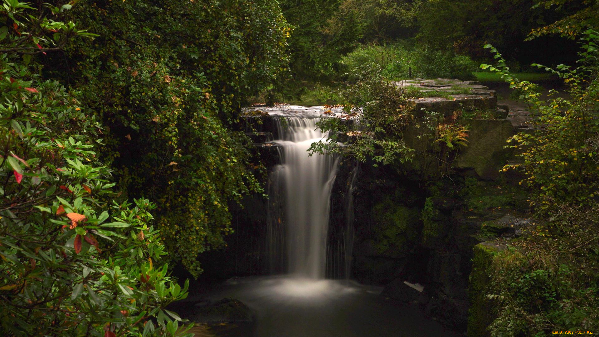 природа, водопады, англия, ньюкасл-апон-тайн, jesmond, dene, park, водопад, кусты