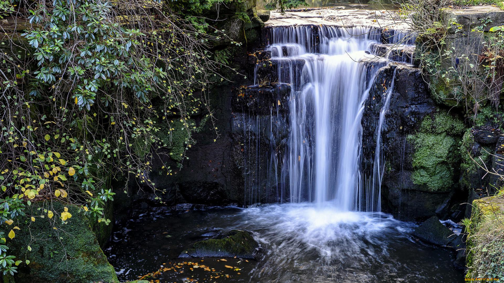 природа, водопады, jesmond, dene, park, водопад, англия, кусты, ньюкасл-апон-тайн