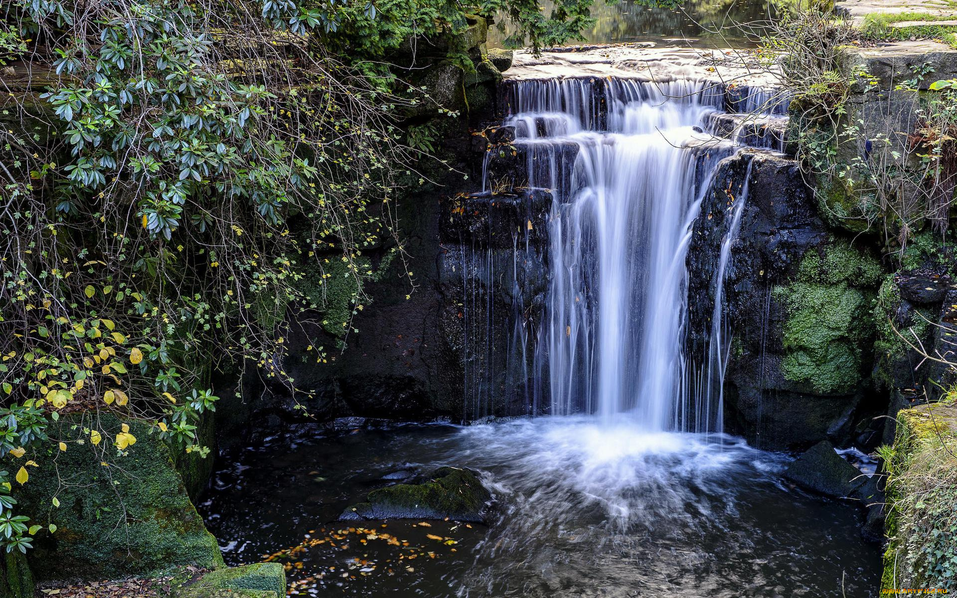 природа, водопады, jesmond, dene, park, водопад, англия, кусты, ньюкасл-апон-тайн