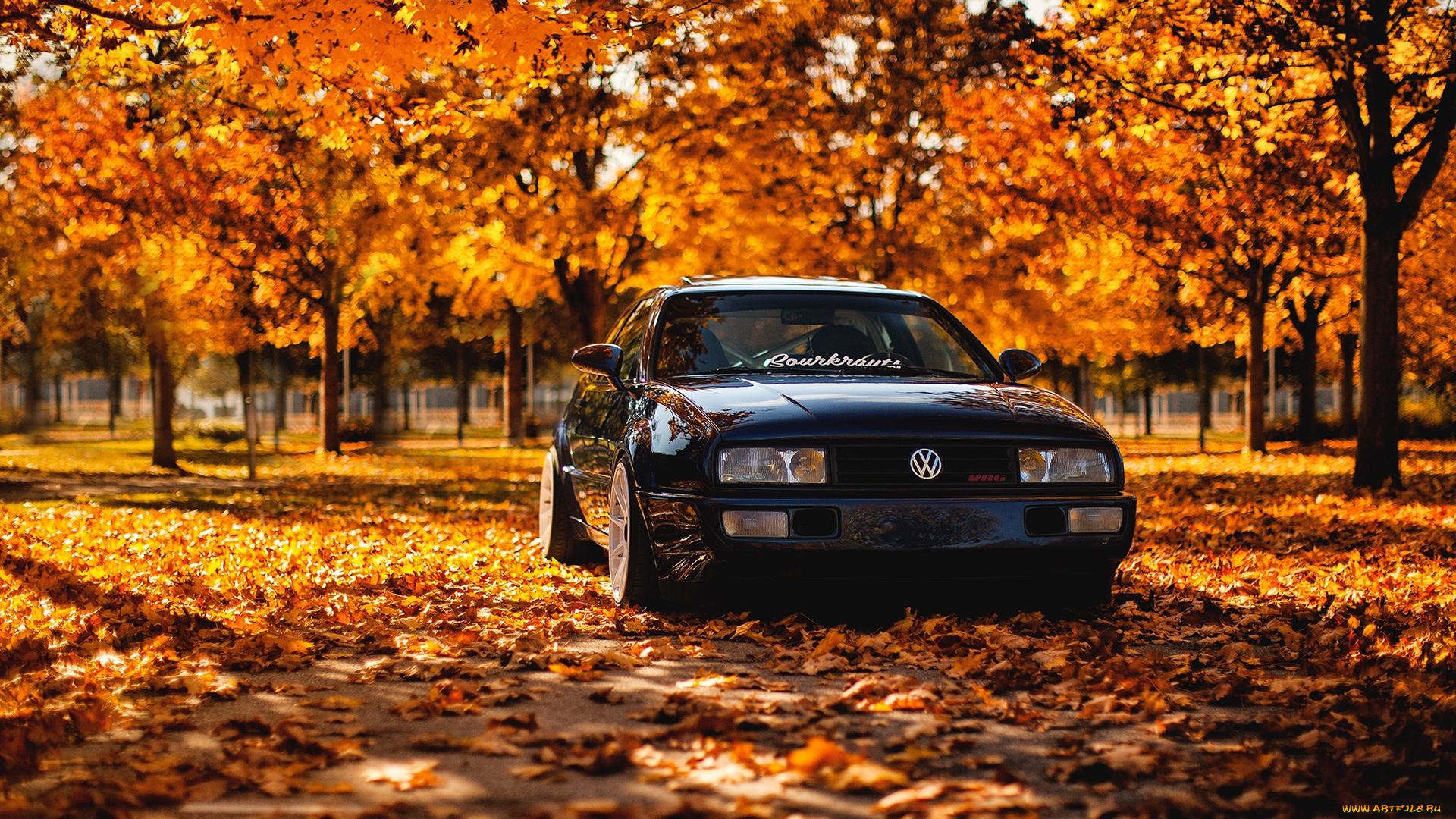 автомобили, volkswagen, corrado