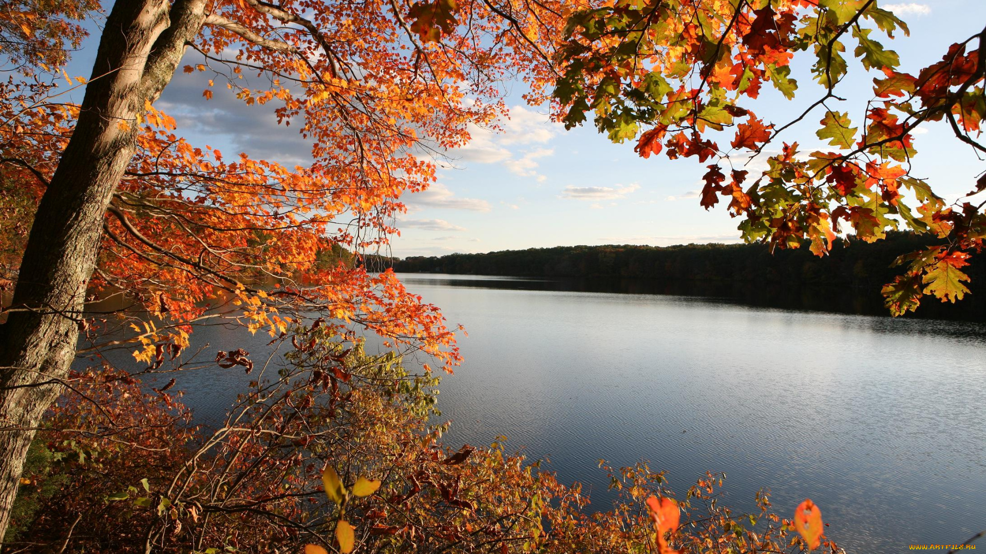 природа, реки, озера, листья, осень, река