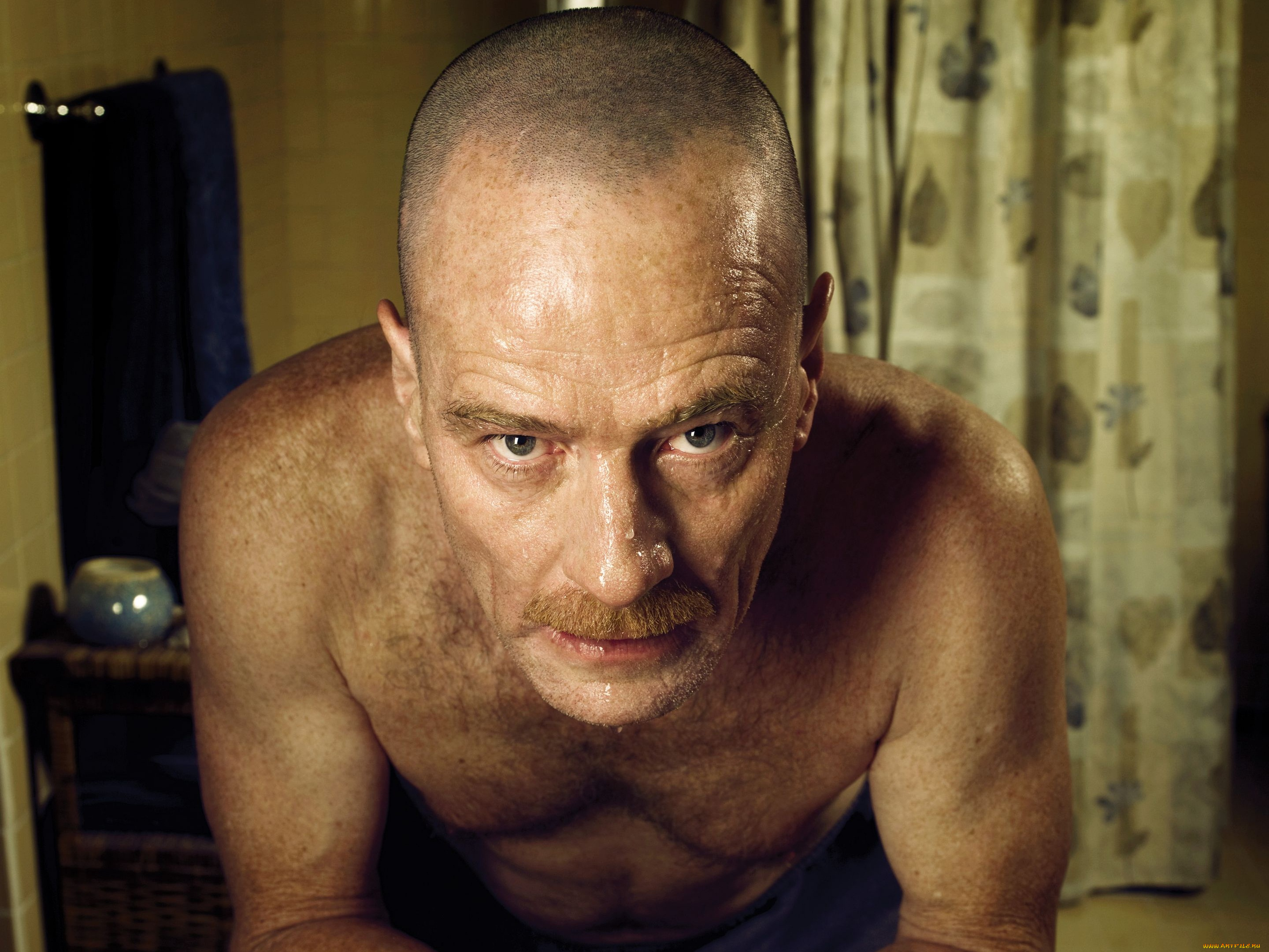 breaking, bad, кино, фильмы, bryan, cranston, walter, white