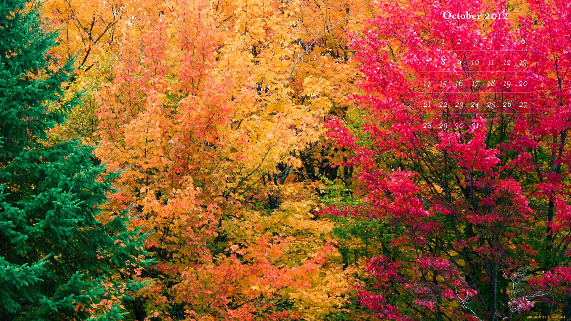 календари, природа, красочный, осень