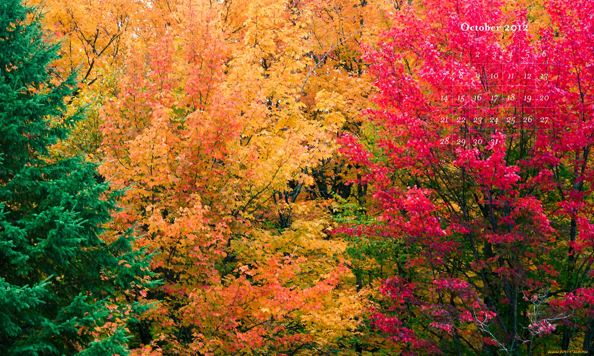календари, природа, красочный, осень
