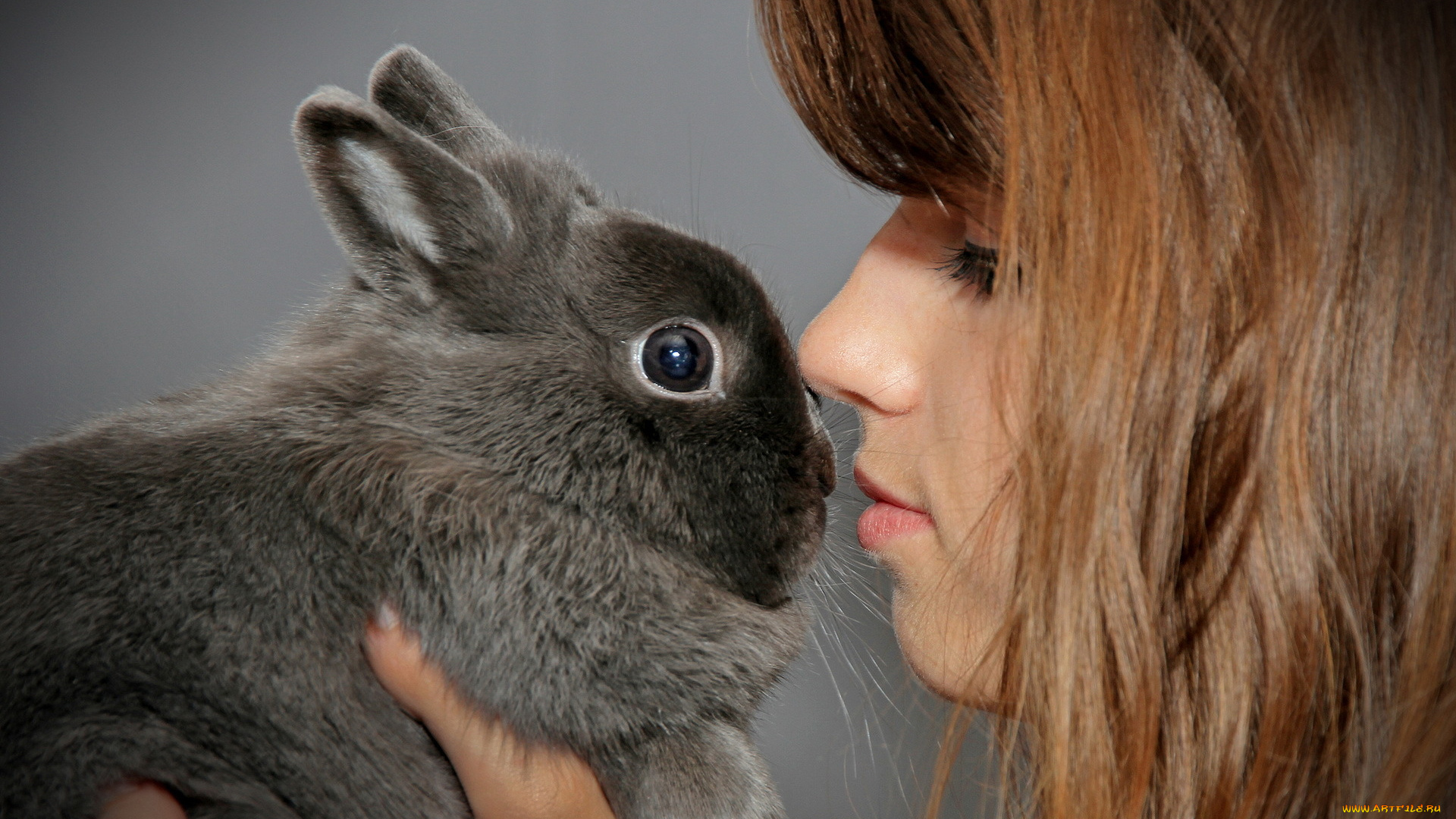 животные, кролики, зайцы, уши