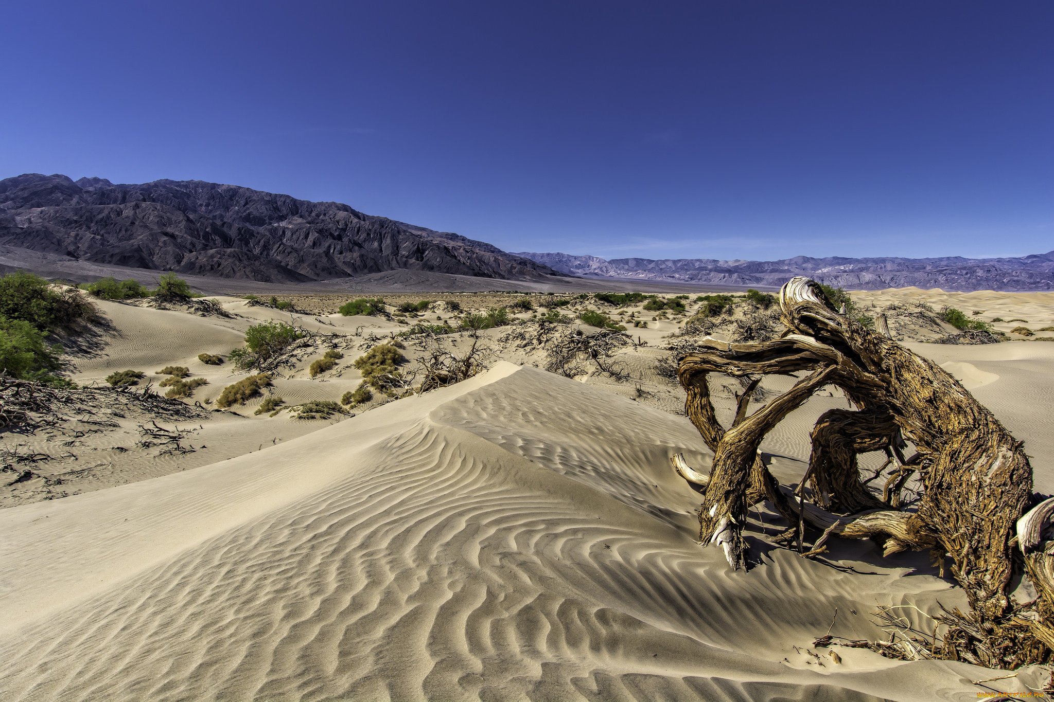 природа, пустыни, дюны