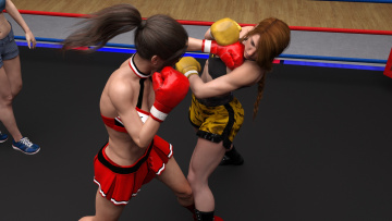 Картинка 3д+графика спорт+ sport фон ринг бокс девушки взгляд