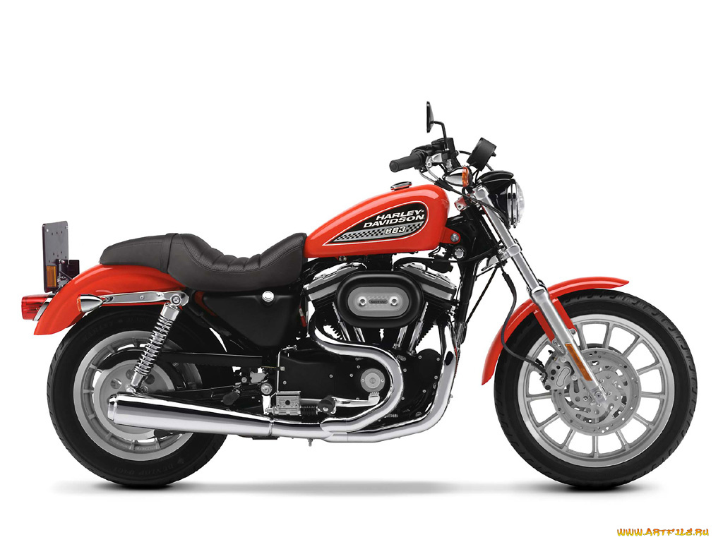 hd, xl883r, мотоциклы, harley, davidson