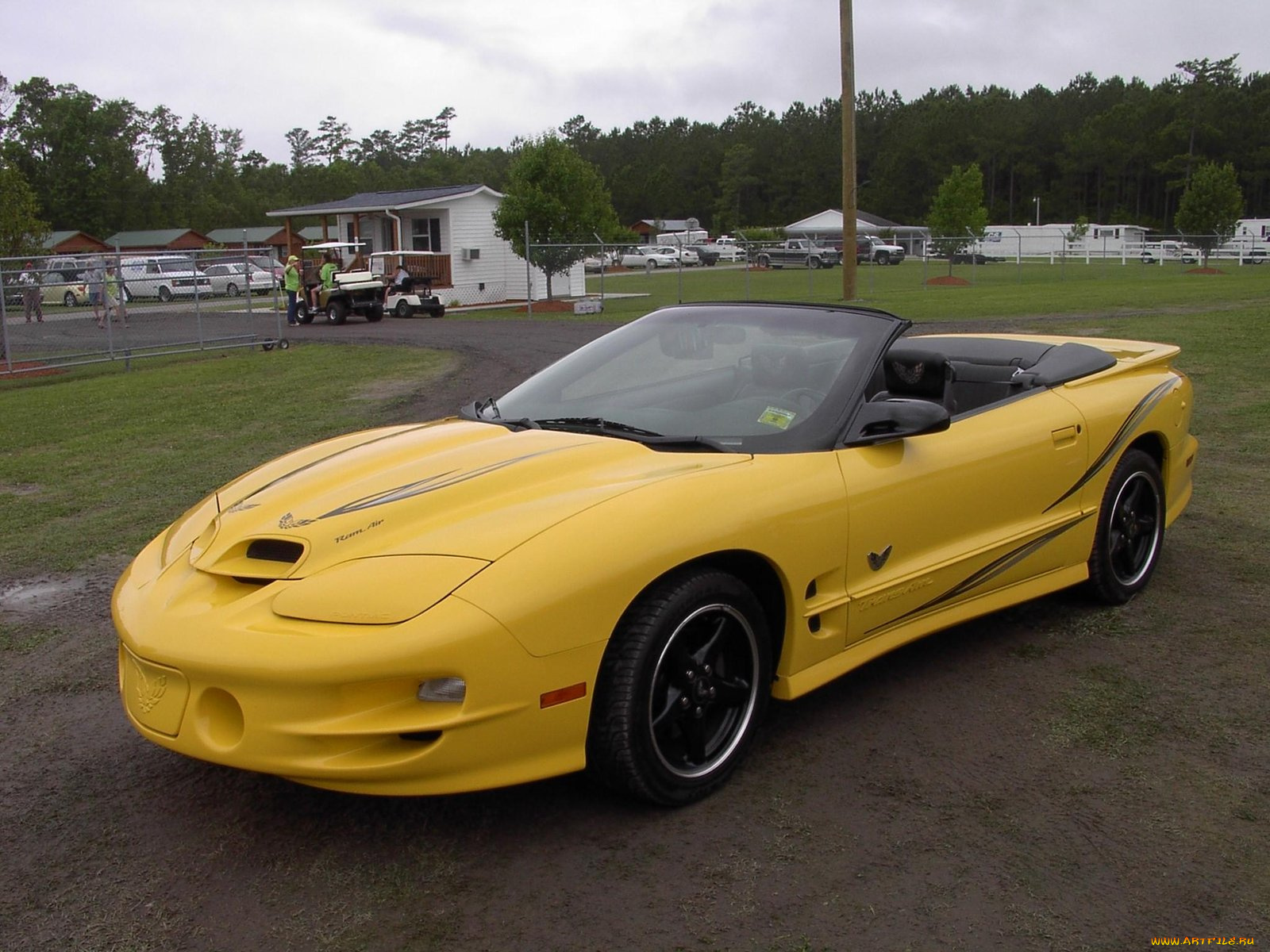 2003, pontiac, trans, am, collector, edition, автомобили