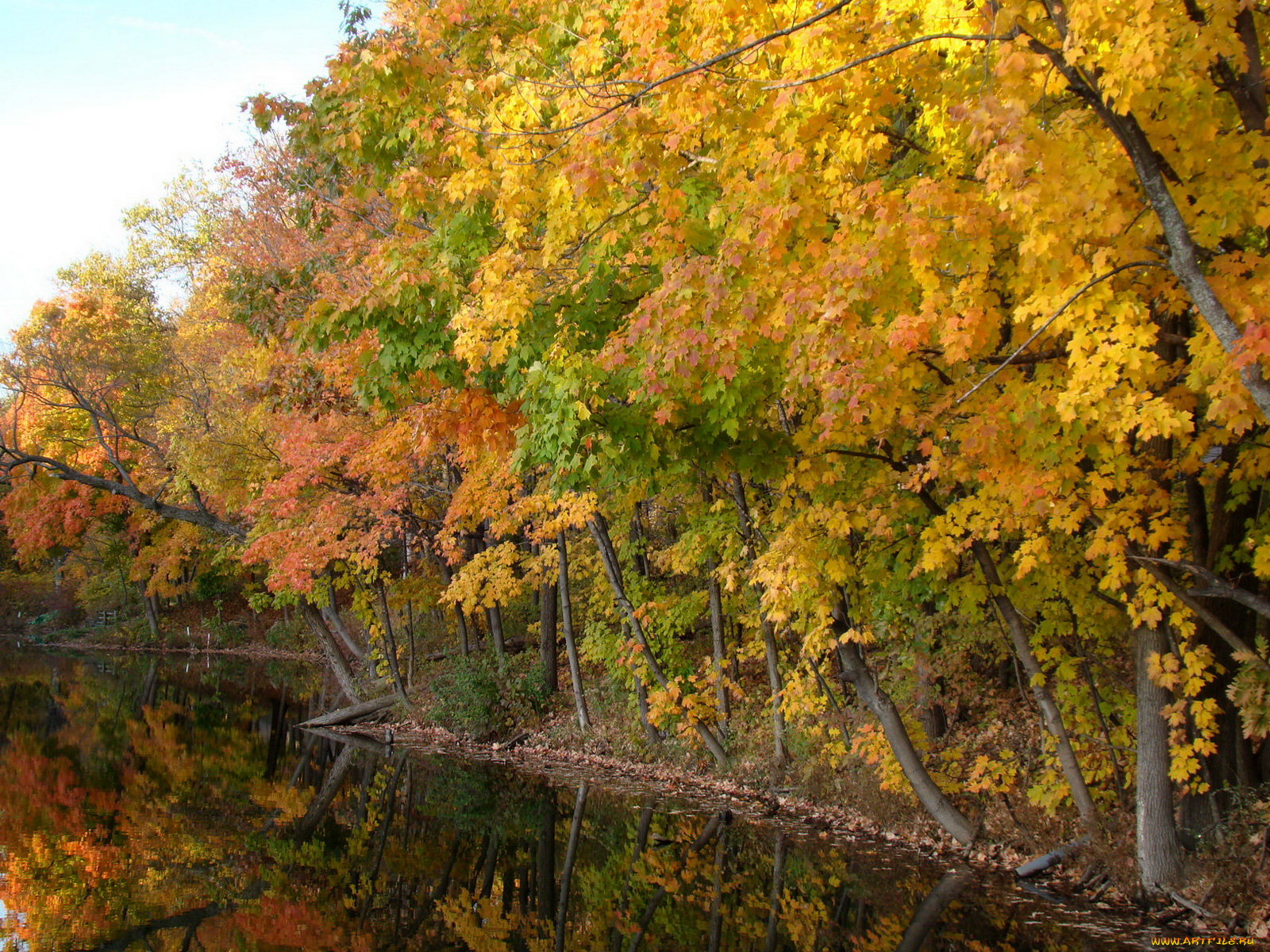 природа, реки, озера, вода, деревья, осень