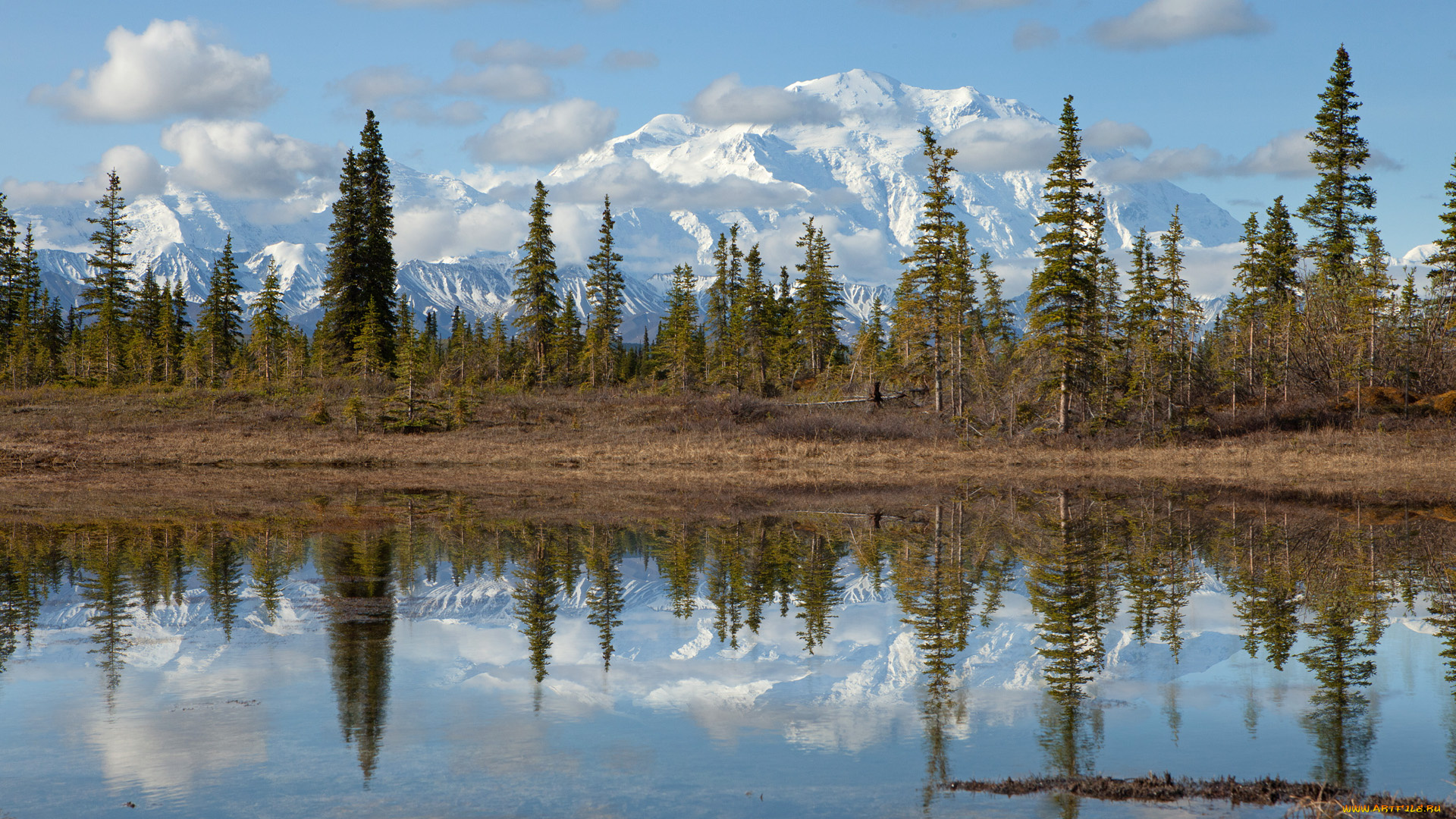 denali, national, park, mount, mckinley, alaska, природа, реки, озера, озеро, ели, облака, деревья, пейзаж, аляска, горы