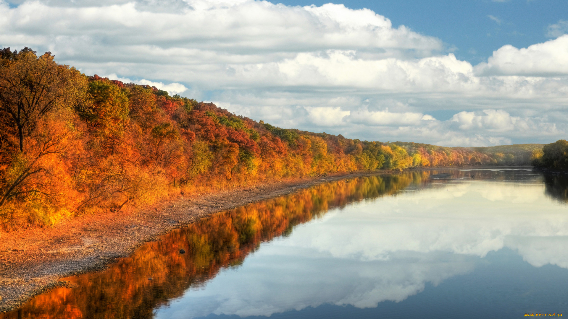 природа, реки, озера, облака, лес, река