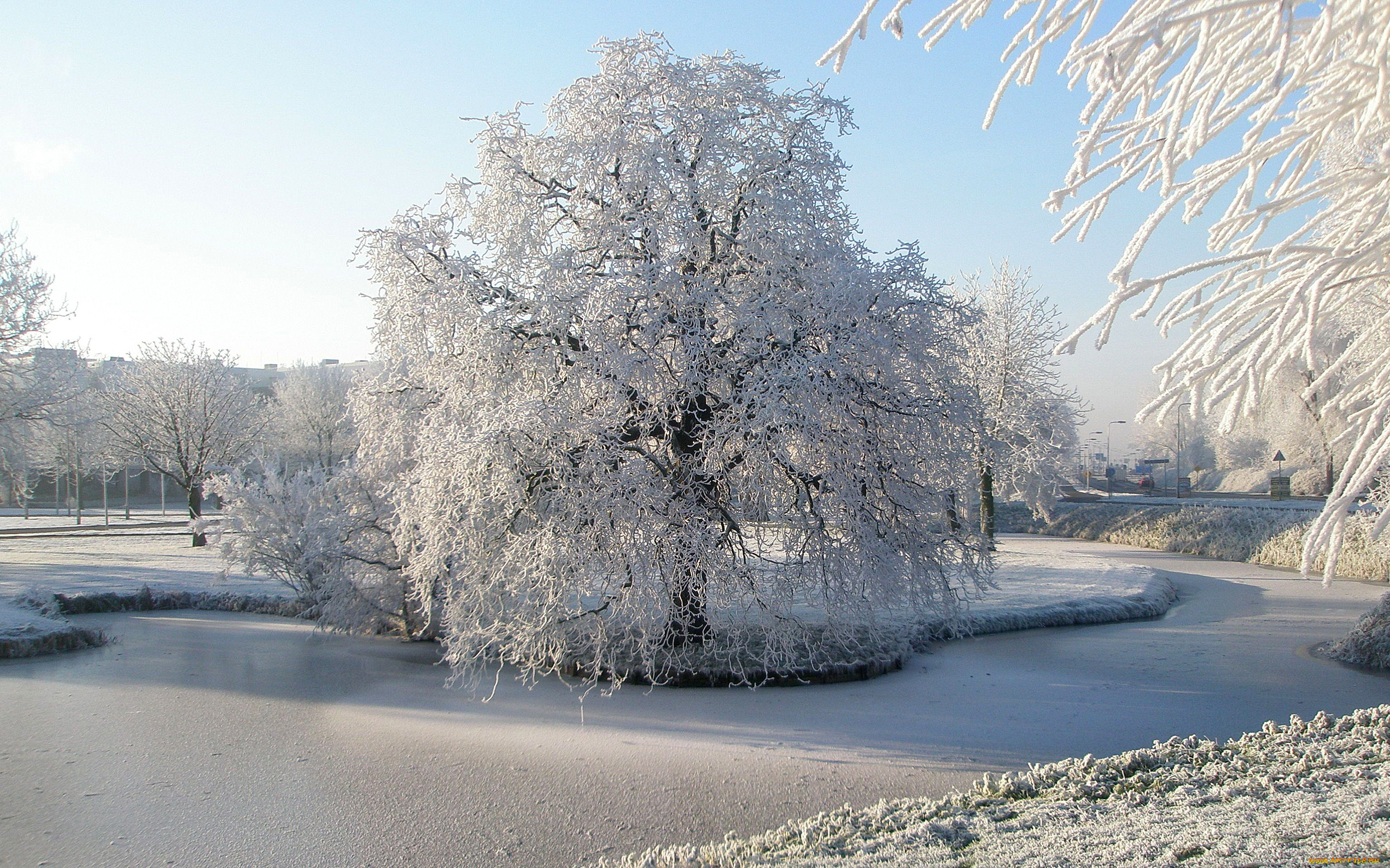 природа, зима, иней, снег, река, деревья, парк