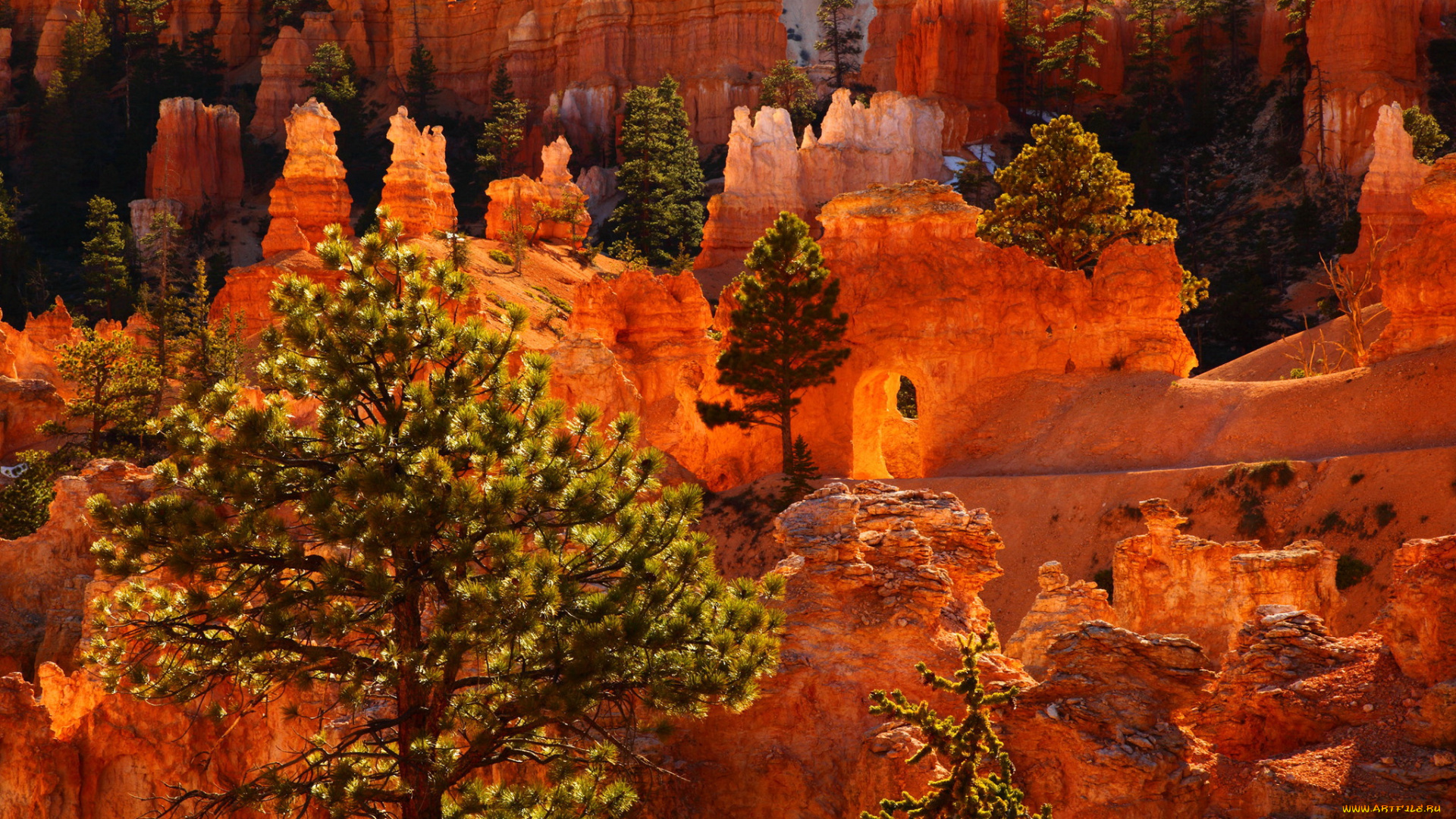 bryce, canyon, national, park, utah, природа, горы, ели