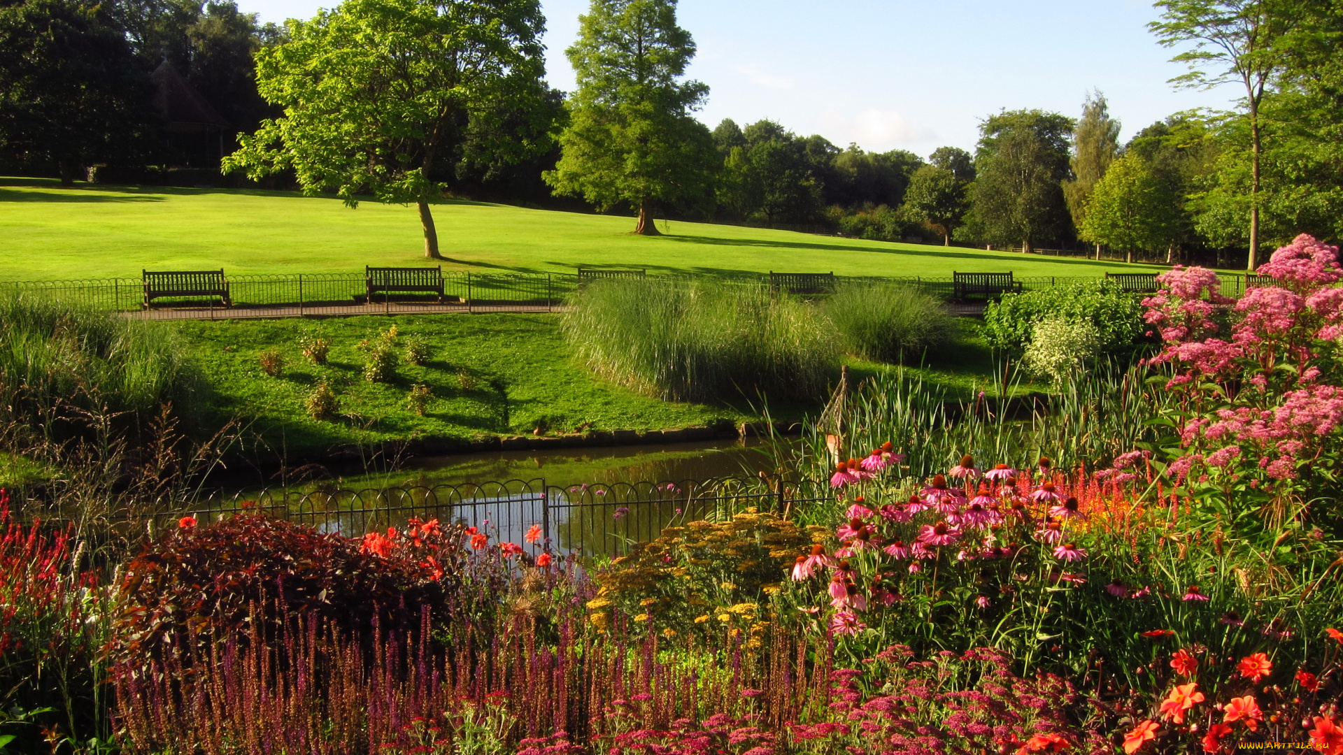 hill, garden, london, природа, парк, река, скамейки, цветы, деревья