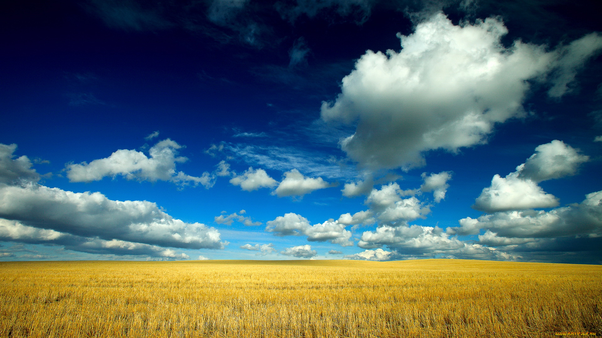 природа, поля, поле, облака