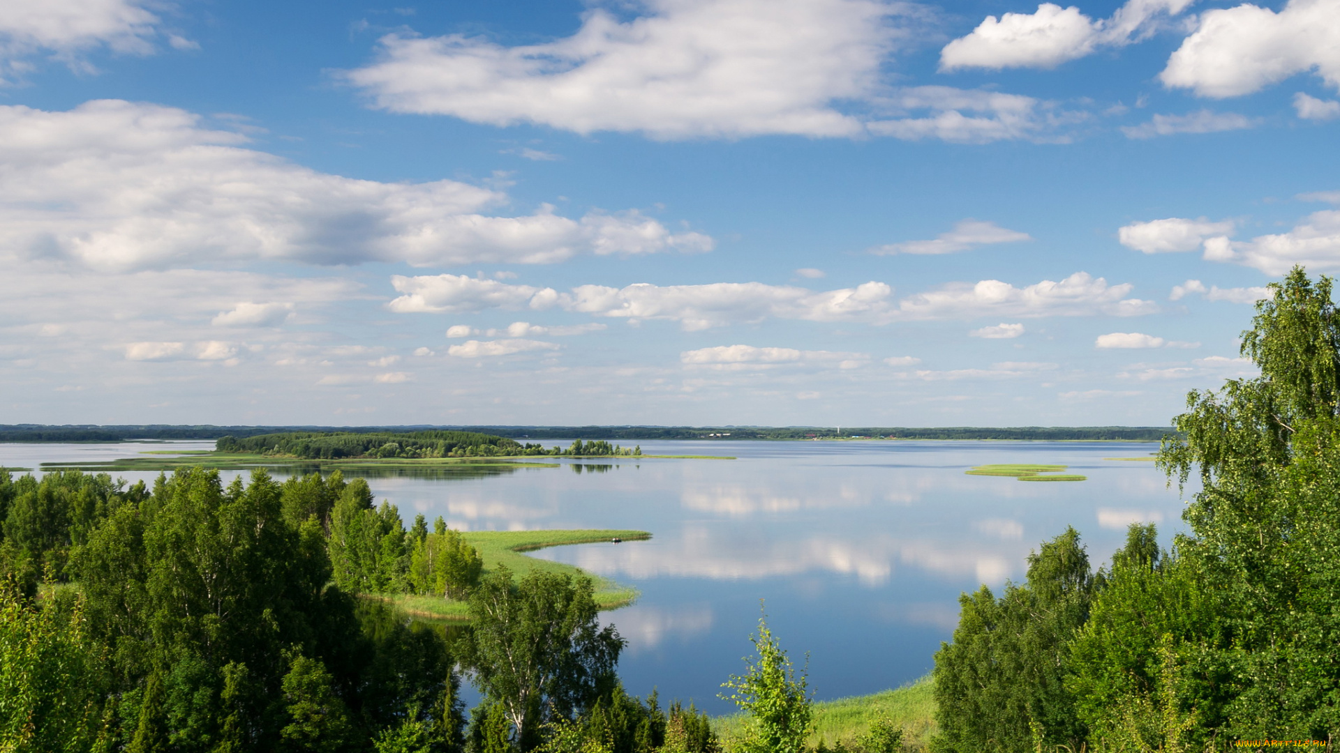 snudy, lake, латвия, природа, реки, озера, озеро, деревья, побережье