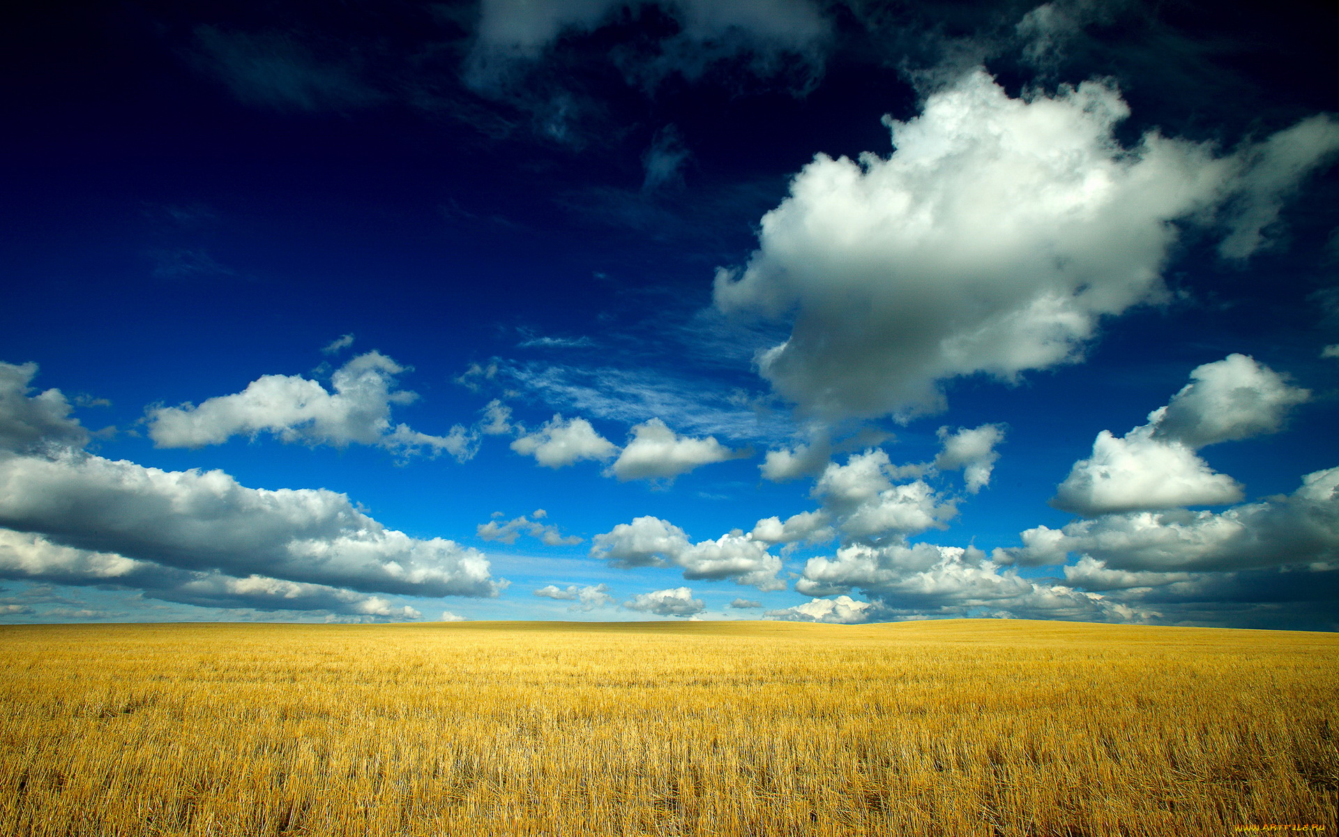 природа, поля, поле, облака