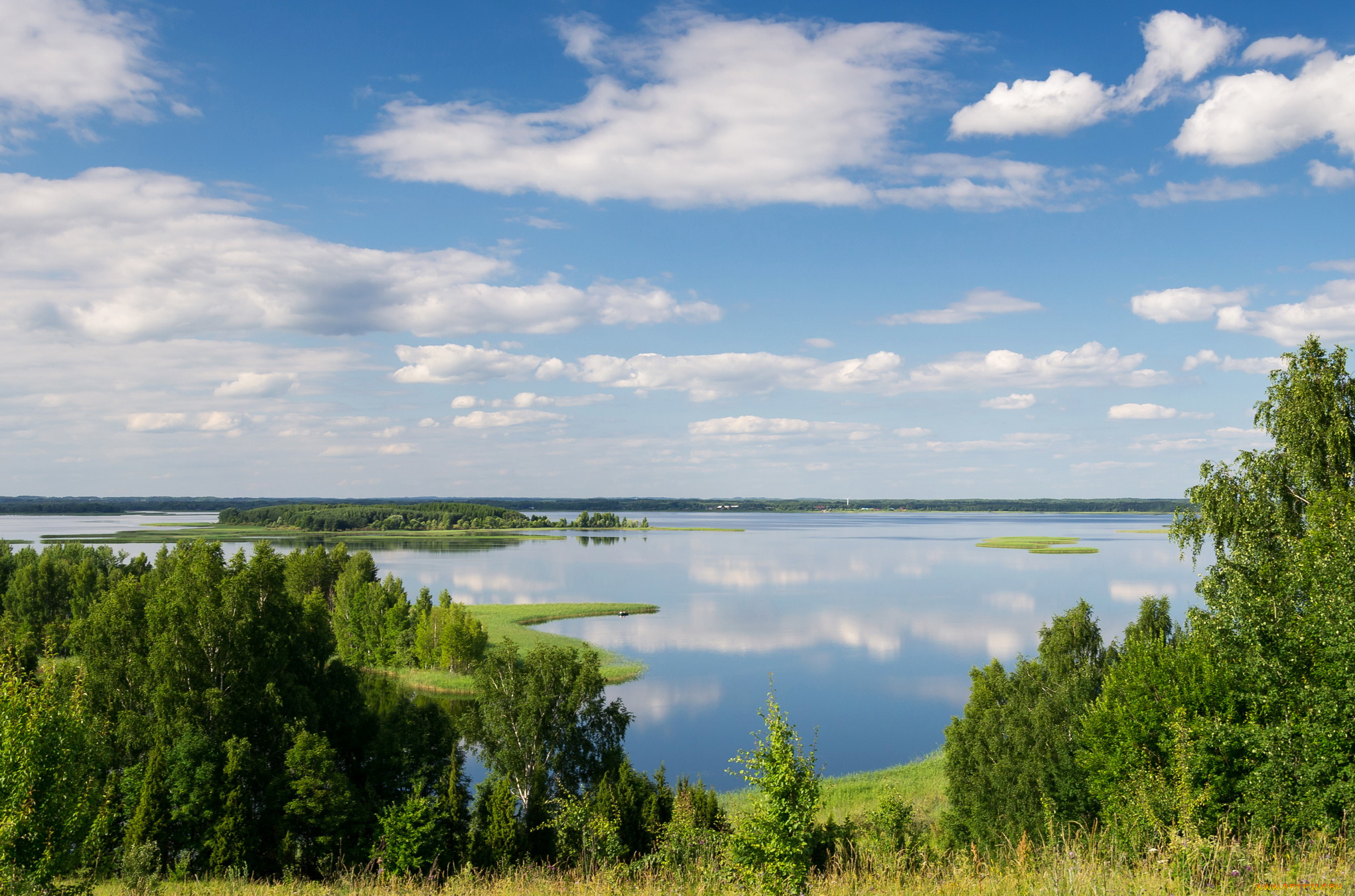 snudy, lake, латвия, природа, реки, озера, озеро, деревья, побережье