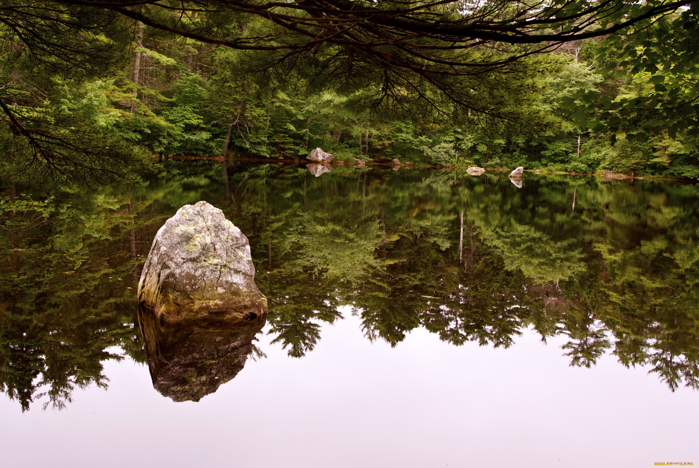 Камни на берегу озера. Пруд в лесу. Озеро в лесу. Камень в лесу. Озеро камни.