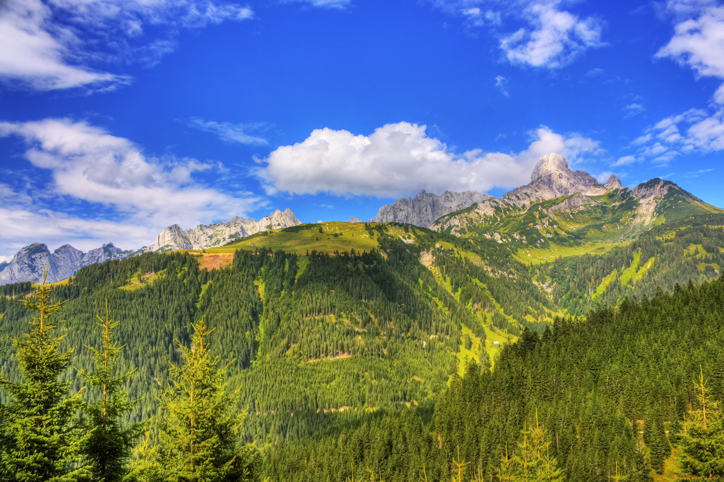 природа, горы, австрия, лес