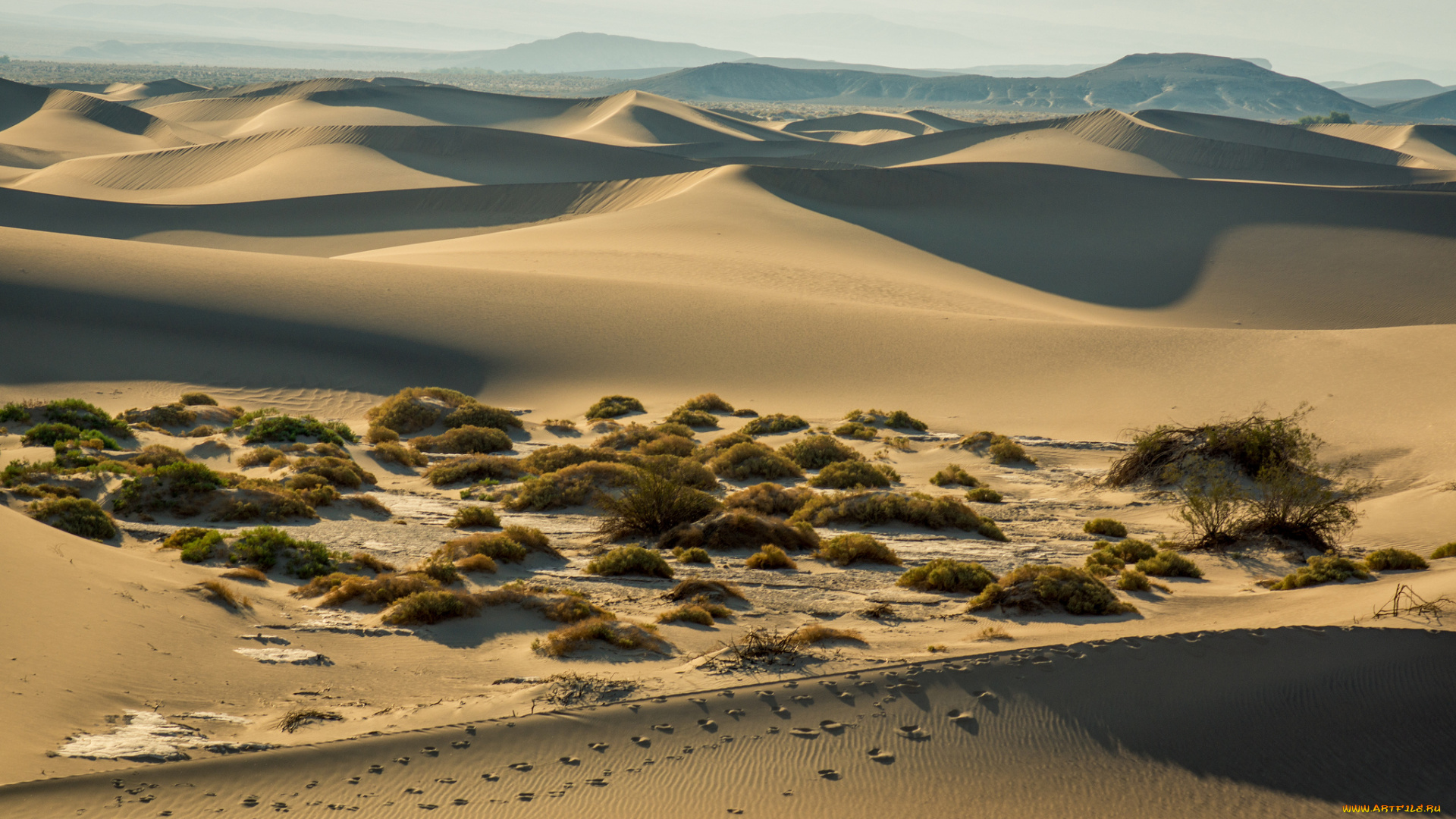 природа, пустыни, следы, барханы, песок