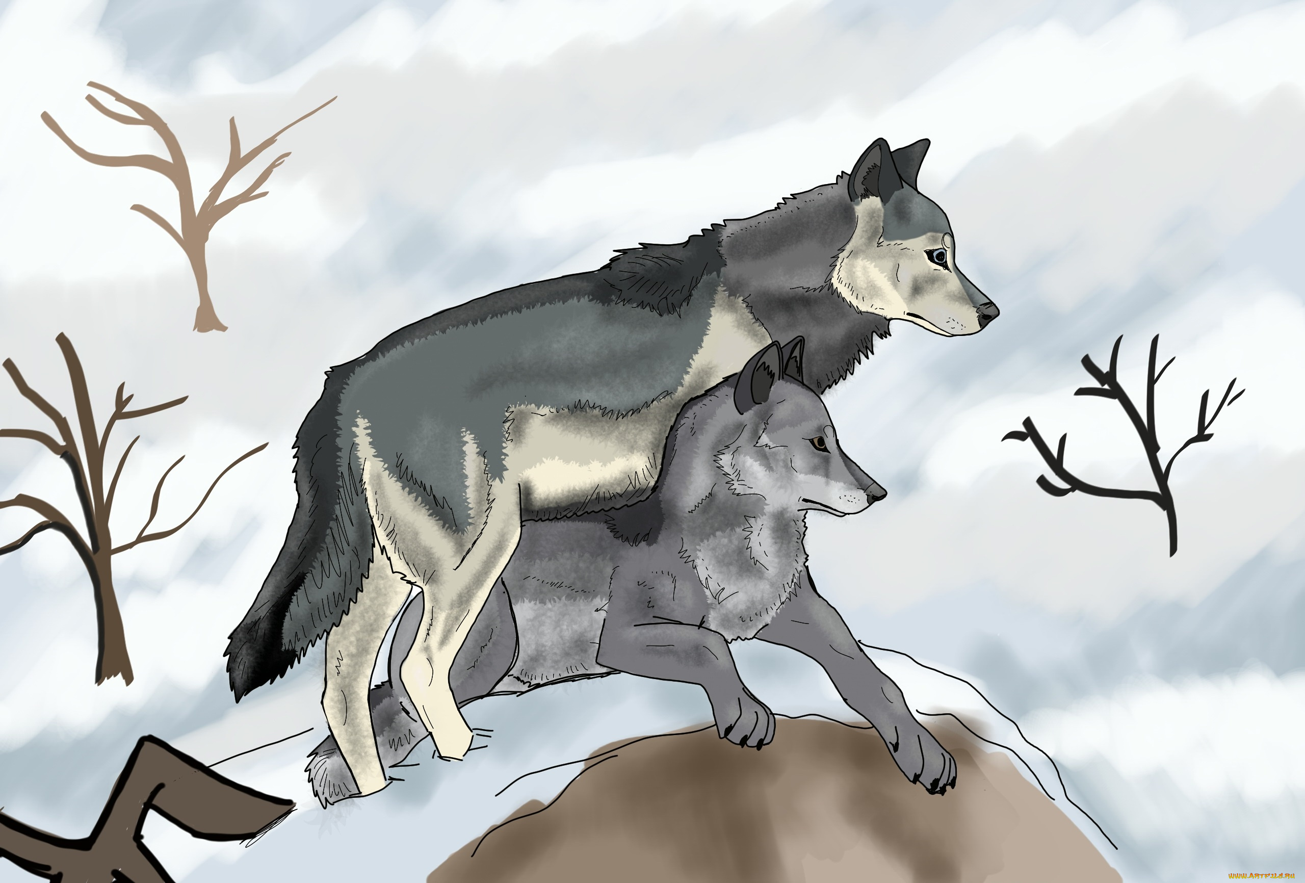 рисованное, животные, , волки, днревья, снег, волки