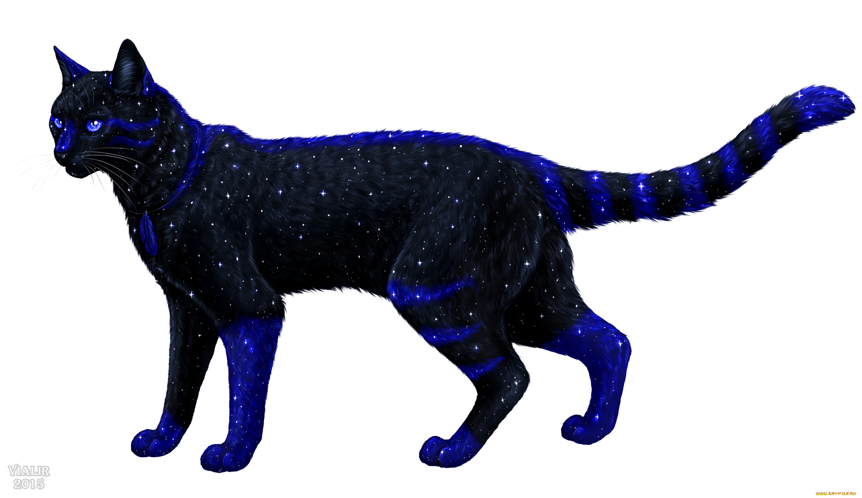Кошка с космическим окрасом