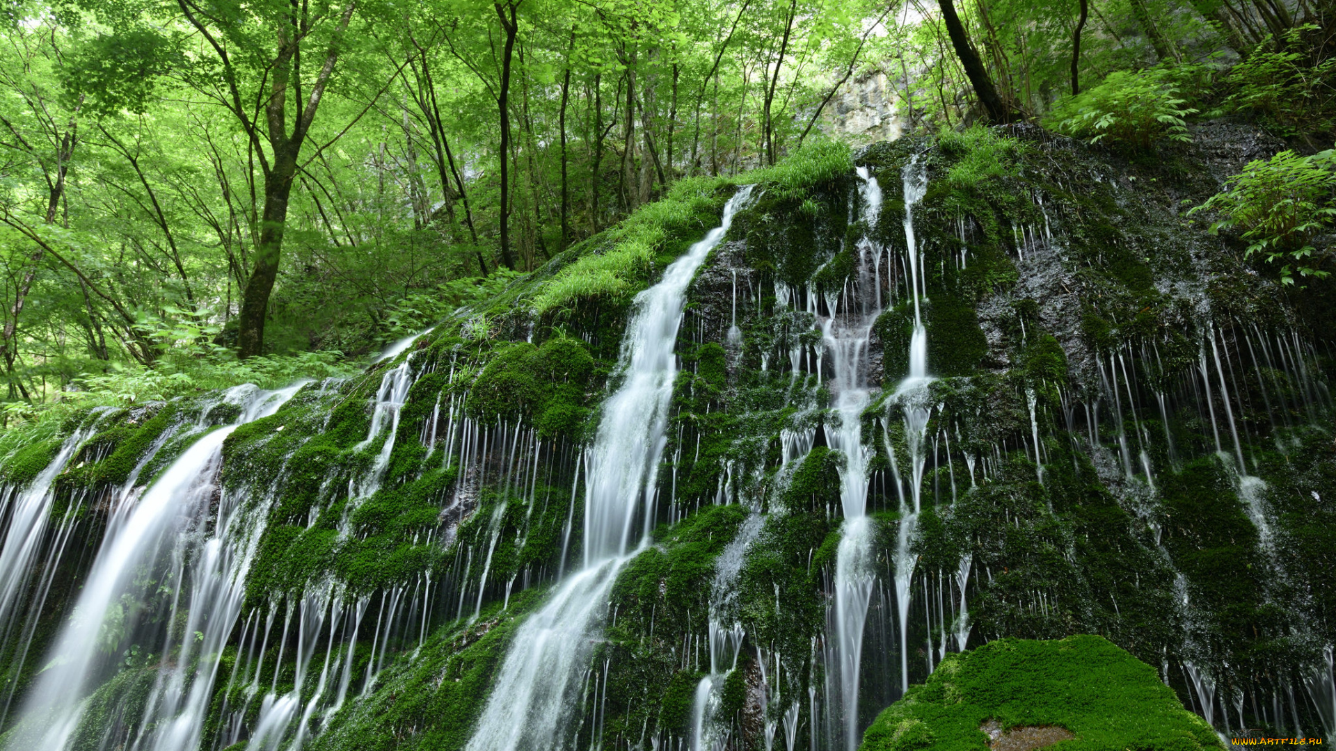 природа, водопады, растительность, лес, мох, камни, водопад, вода