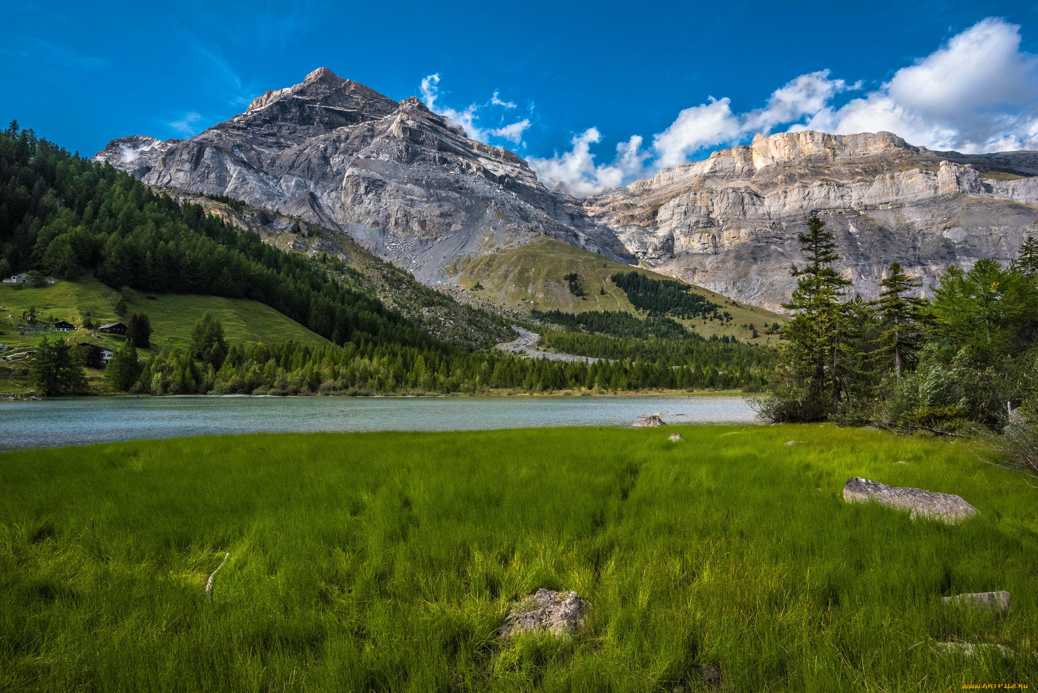 природа, горы, switzerland, valais, швейцария, lac, de, derborence, lake, трава, бернские, альпы, озеро, дерборанс, валлис, bernese, alps, лес