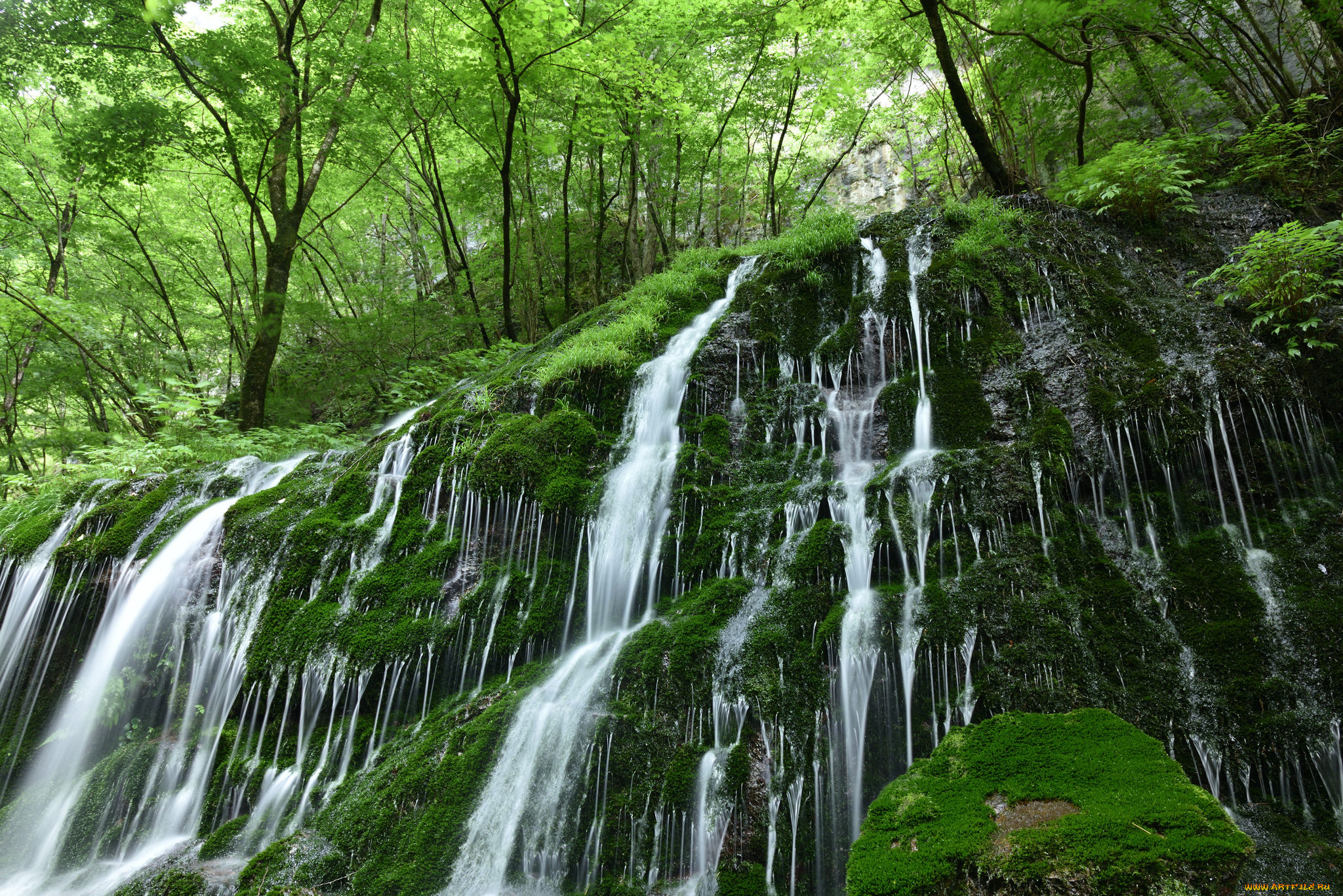 природа, водопады, растительность, лес, мох, камни, водопад, вода