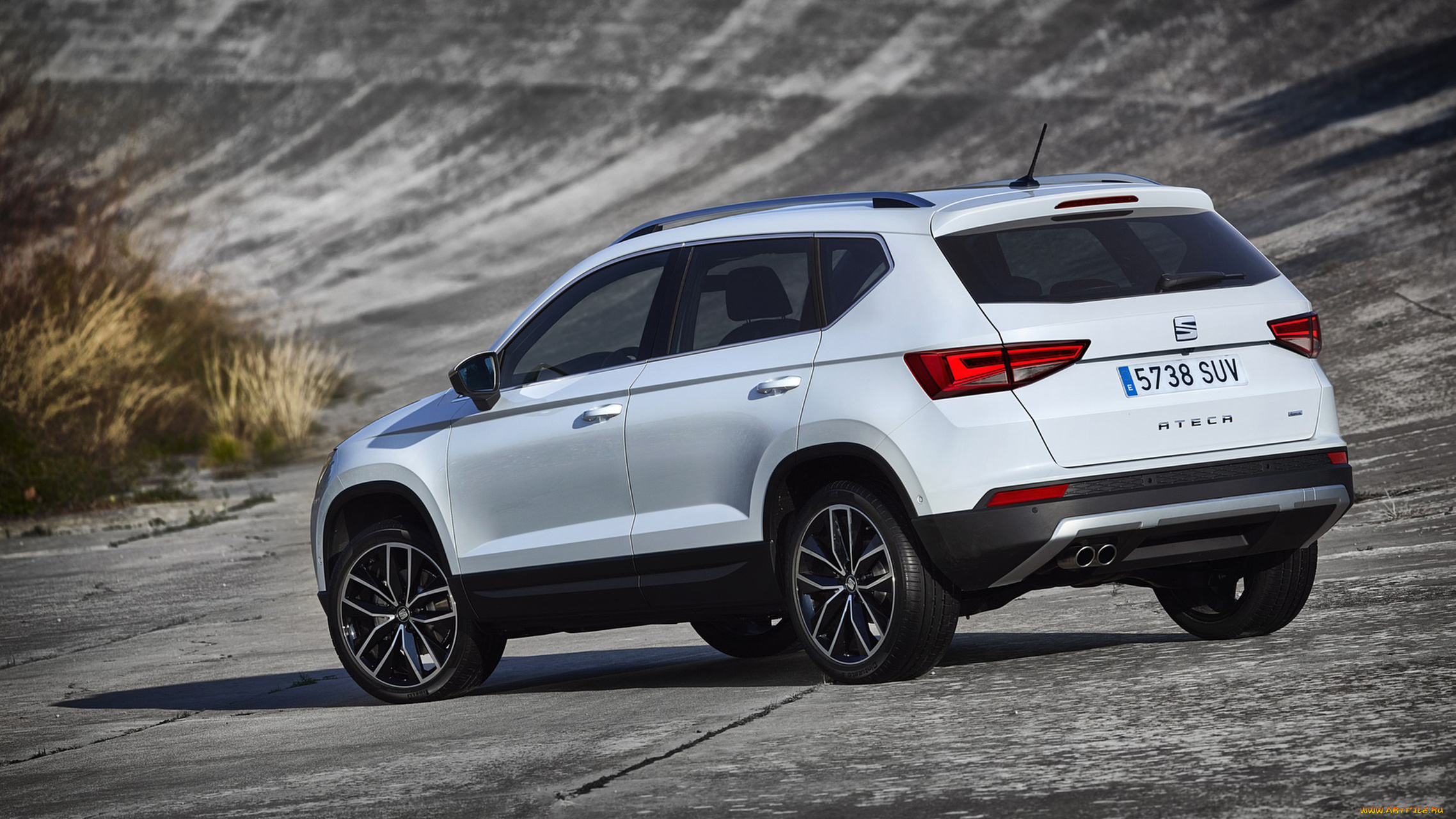 seat, ateca, suv, 2017, автомобили, seat, белый, 2017, suv, ateca