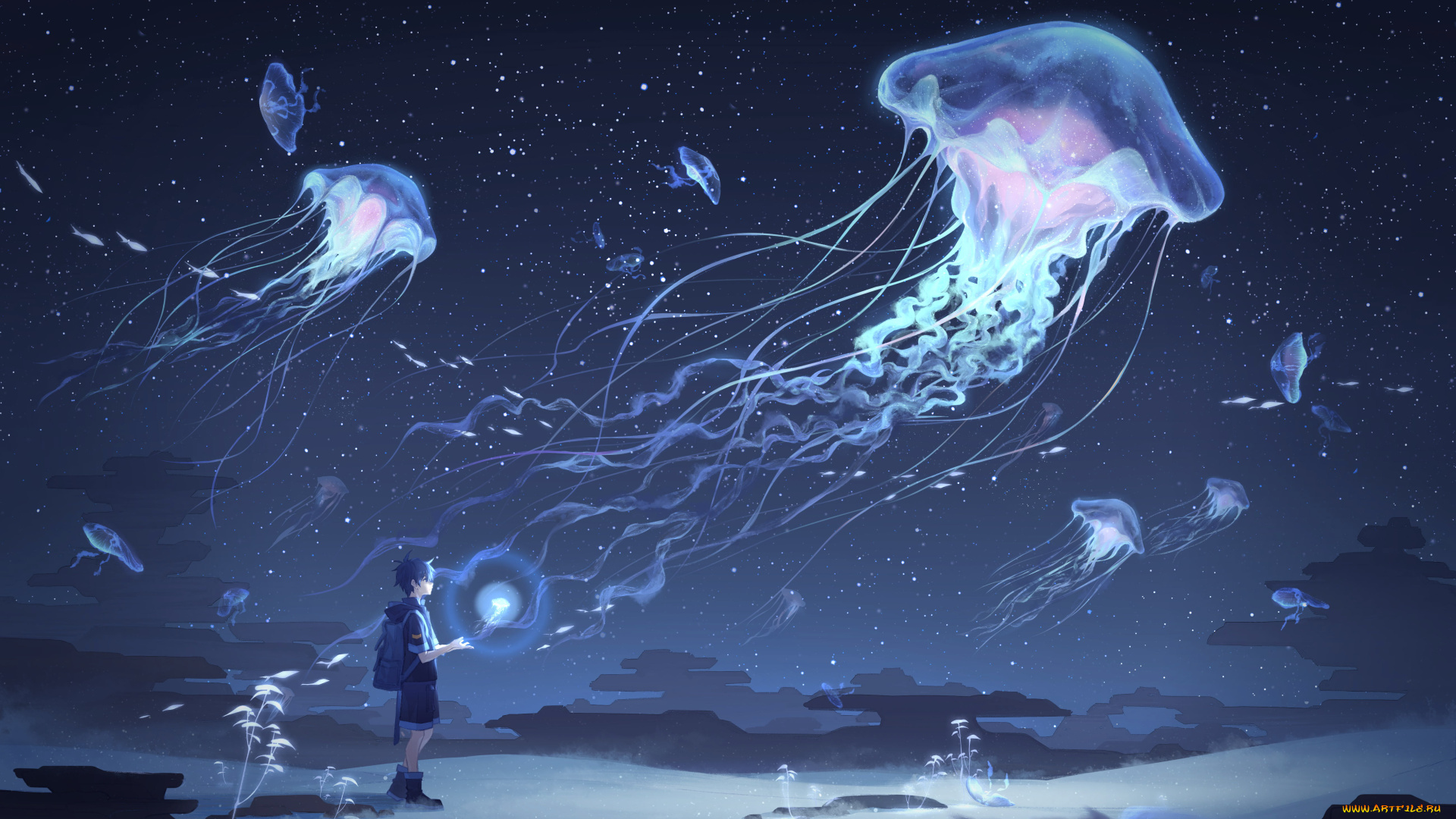 аниме, животные, , существа, мальчик, медузы