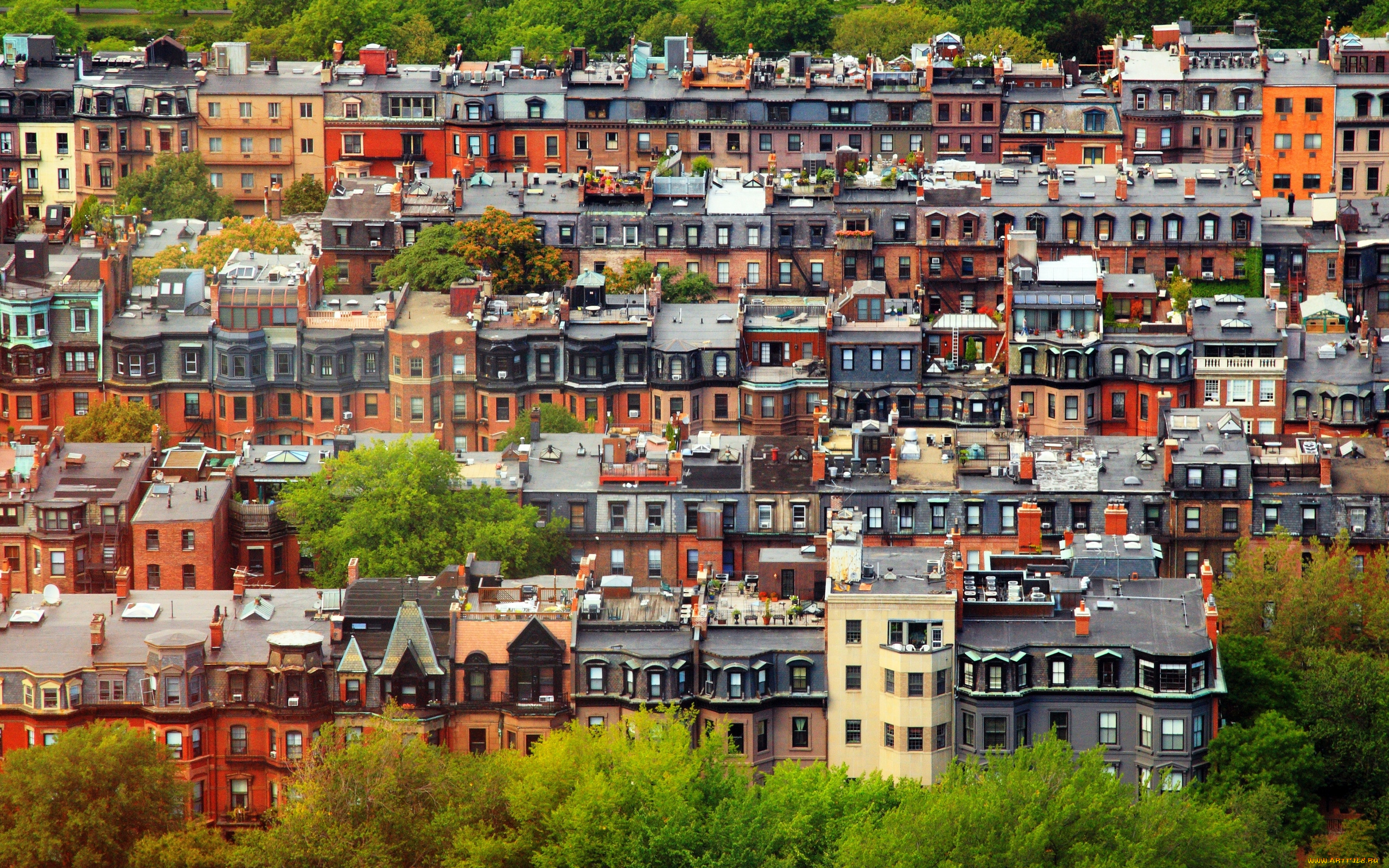 города, бостон, , сша, бостон, город, деревья, дом, старое, здание, район, сад, на, крыше, крыши, массачусетс