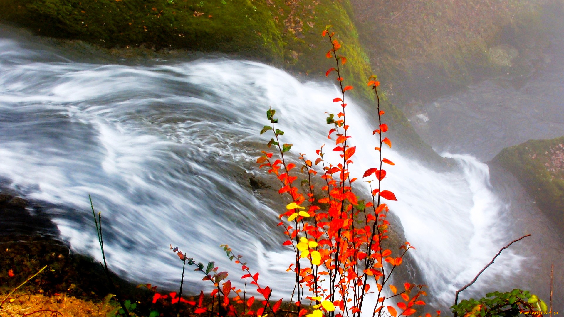 природа, водопады, водопад, поток, кусты