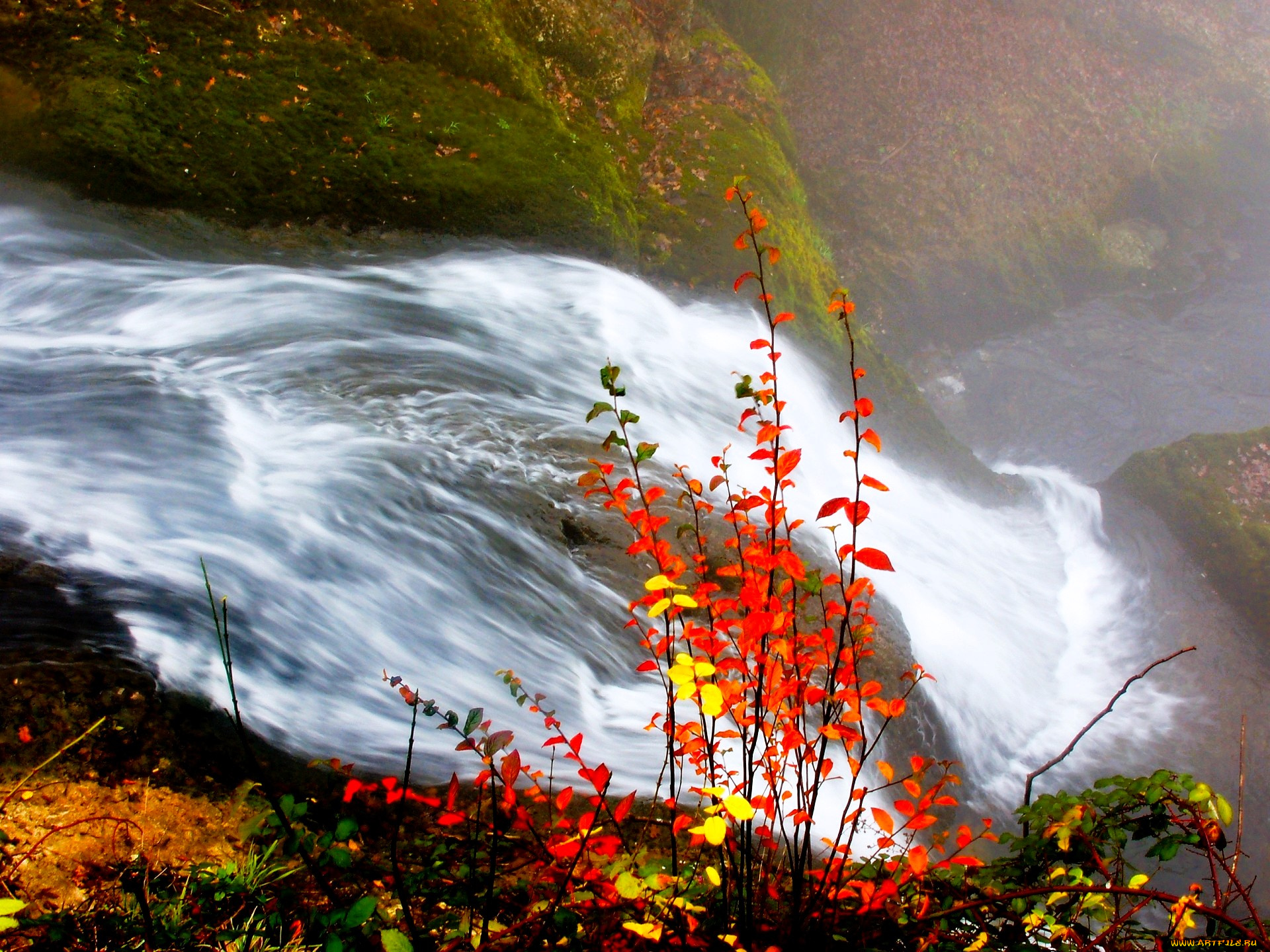 природа, водопады, водопад, поток, кусты